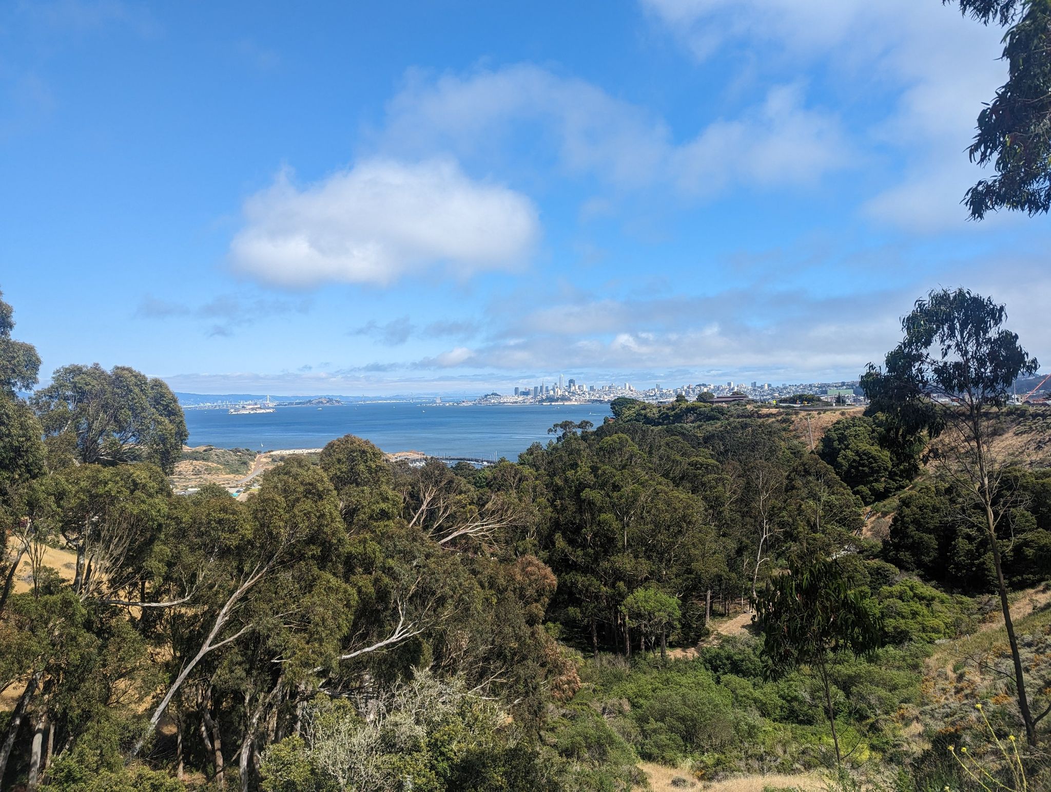 Panoramic view of green forested hills overlooking a bay and distant city. - Across the Golden Gate Bridge to Sausalito