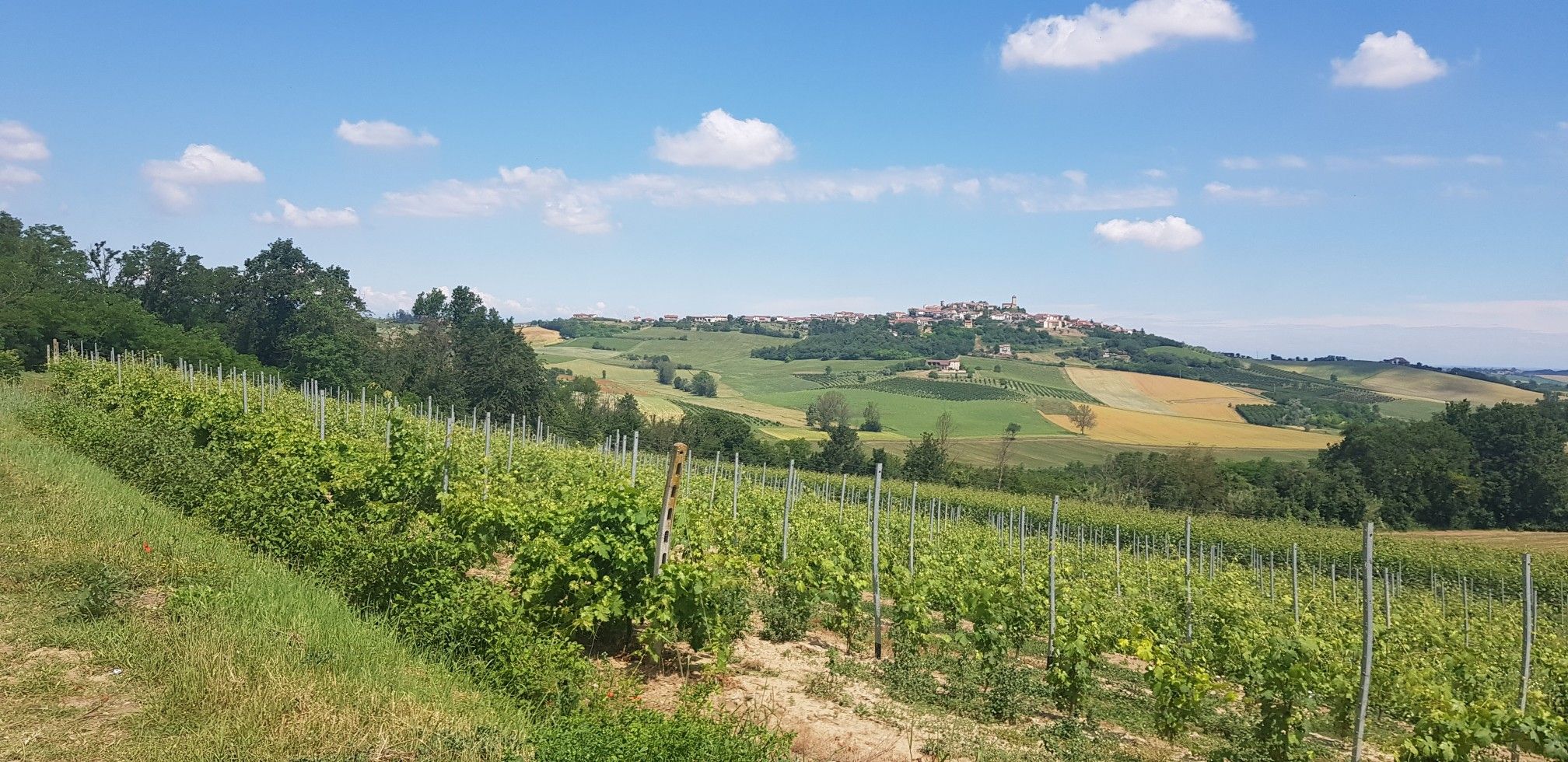 vista panoramica 