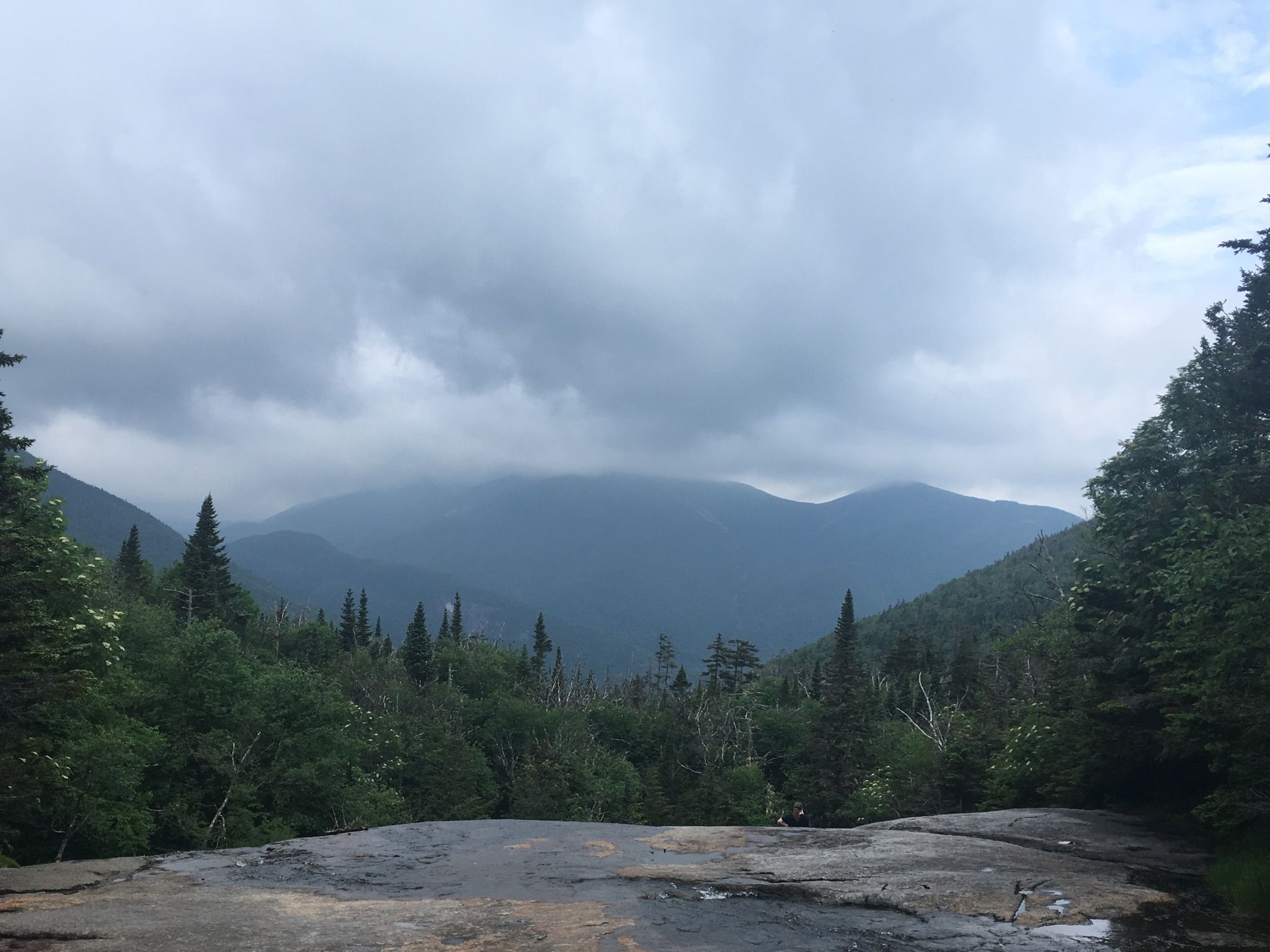 Overcast mountain landscape with dense forest and rocky foreground. - Tabletop Mountain via Marcy Dam Trail