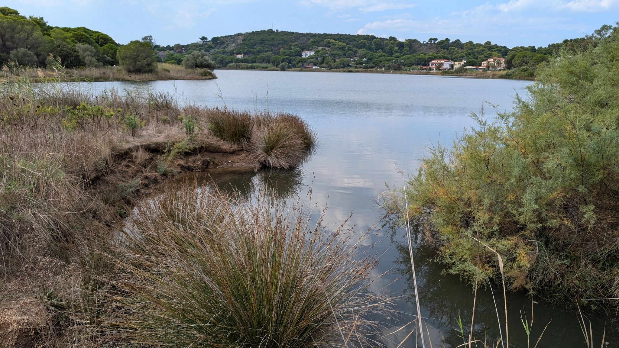 Strofiliá-See