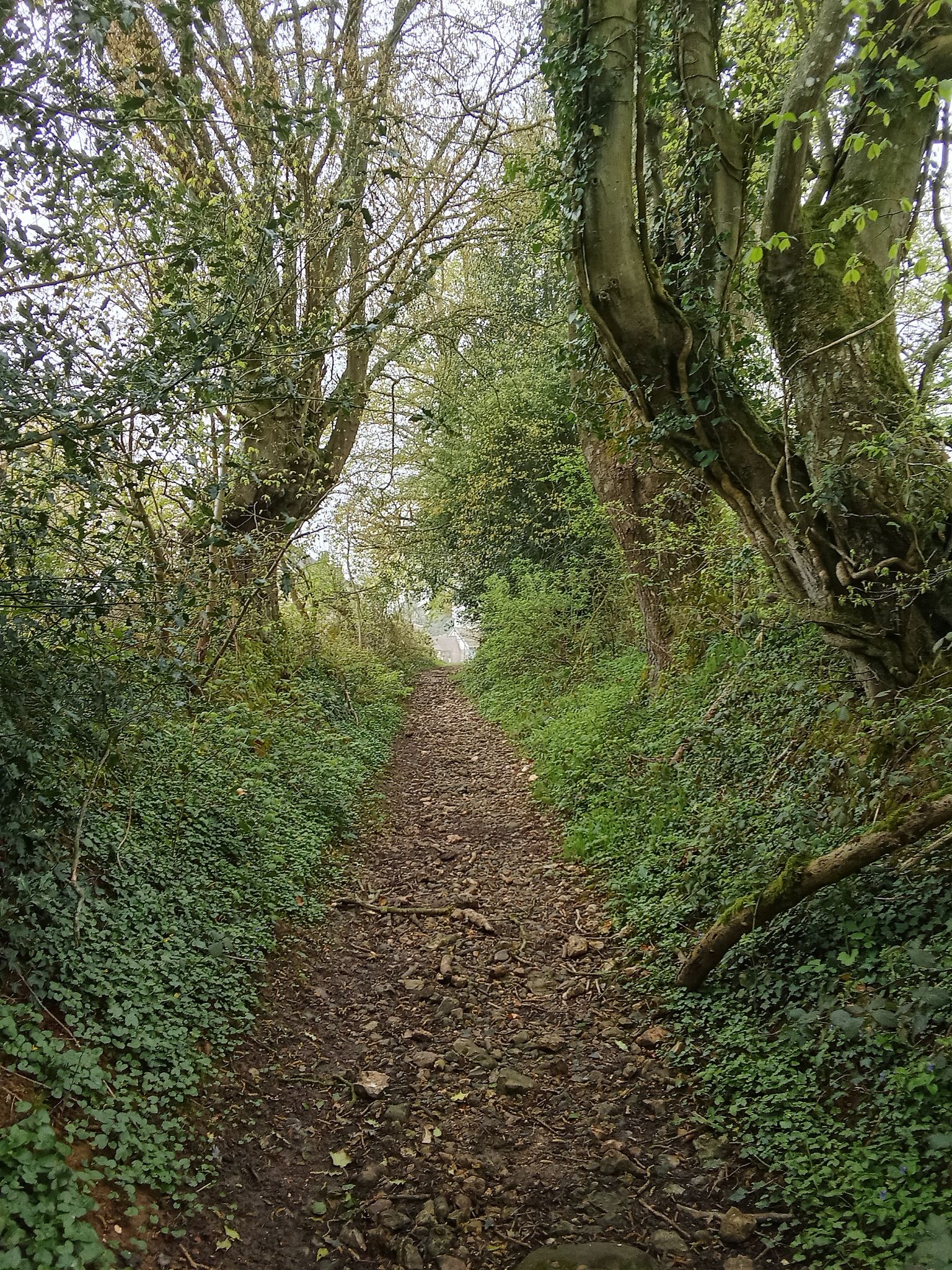 Chemin sous cavé