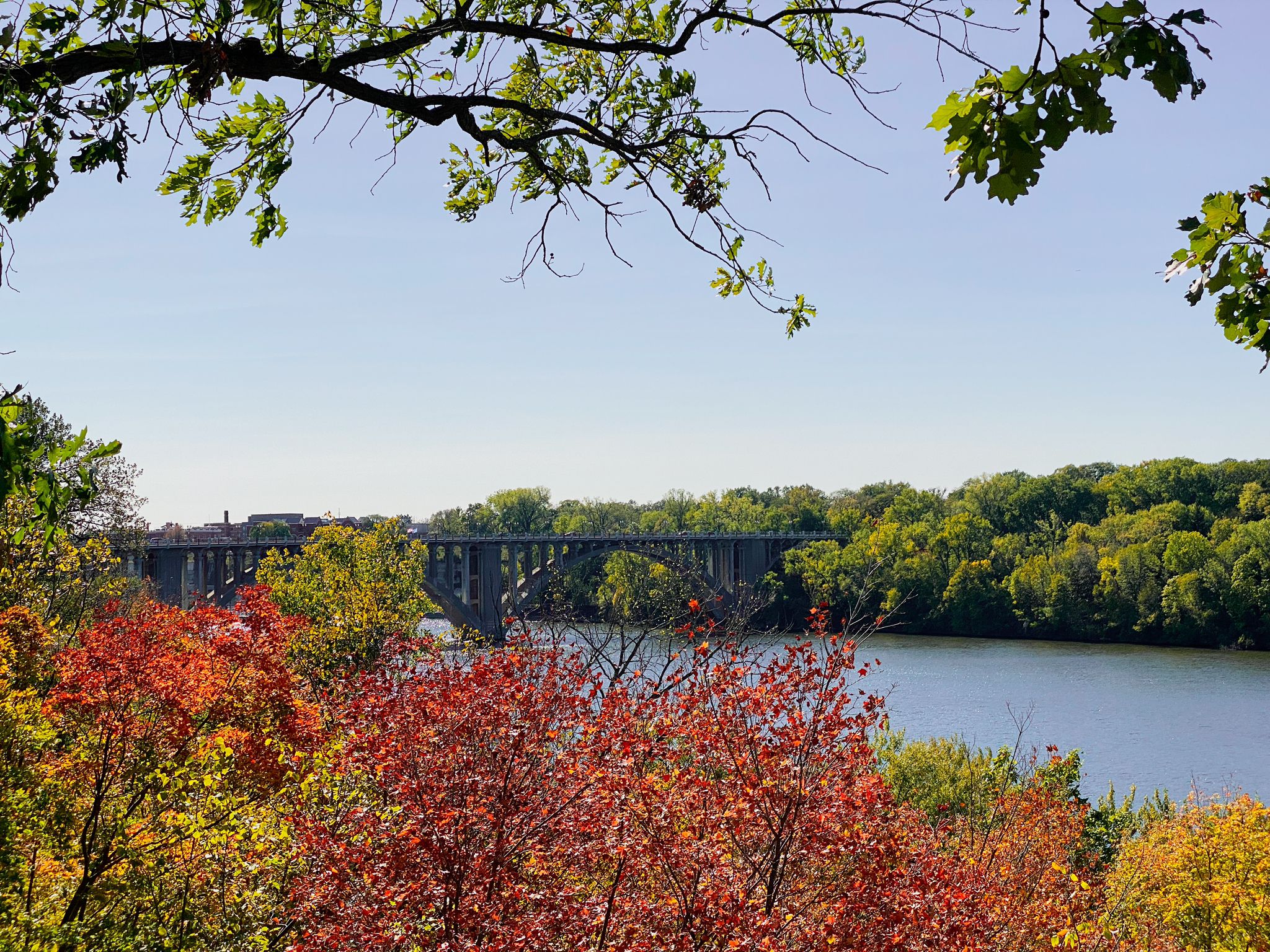 Autumn trees with vibrant red and orange leaves framing a river and distant bridge. - Mississippi River loop via Franklin Avenue Bridge