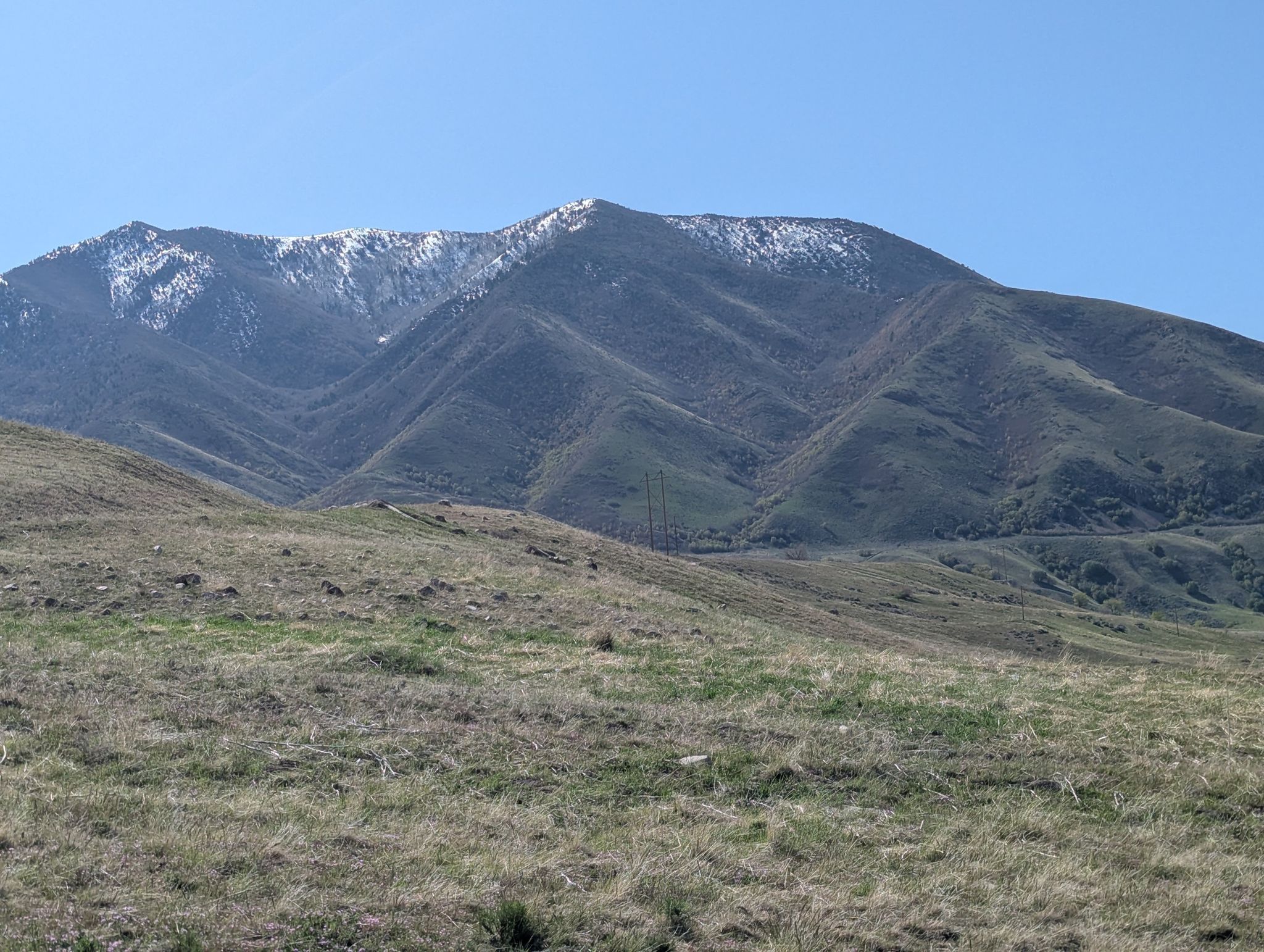 Green hills lead to distant mountains with snow patches under a clear sky. - Bates Canyon Foothills Loop