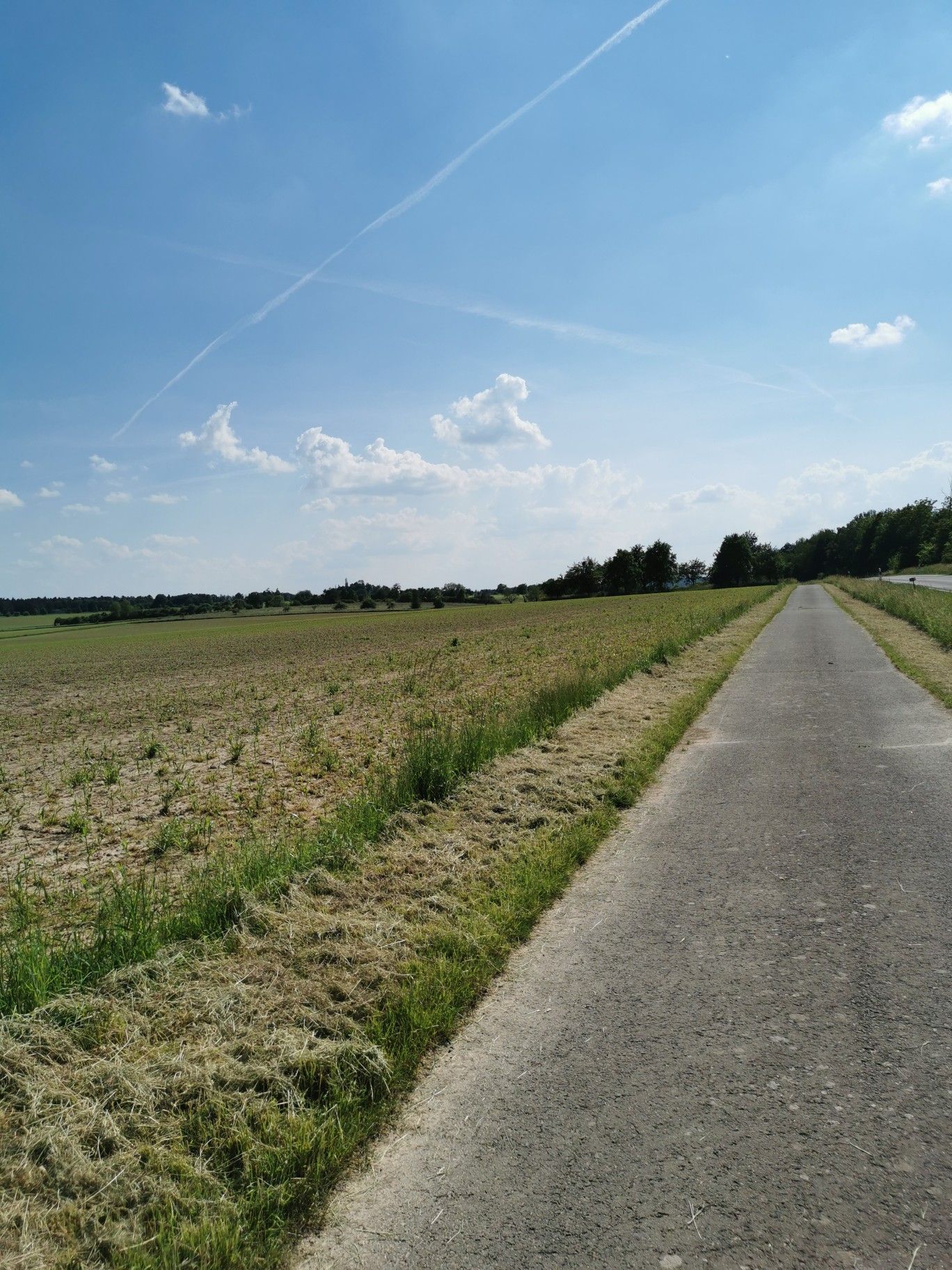 Radweg Speicher 