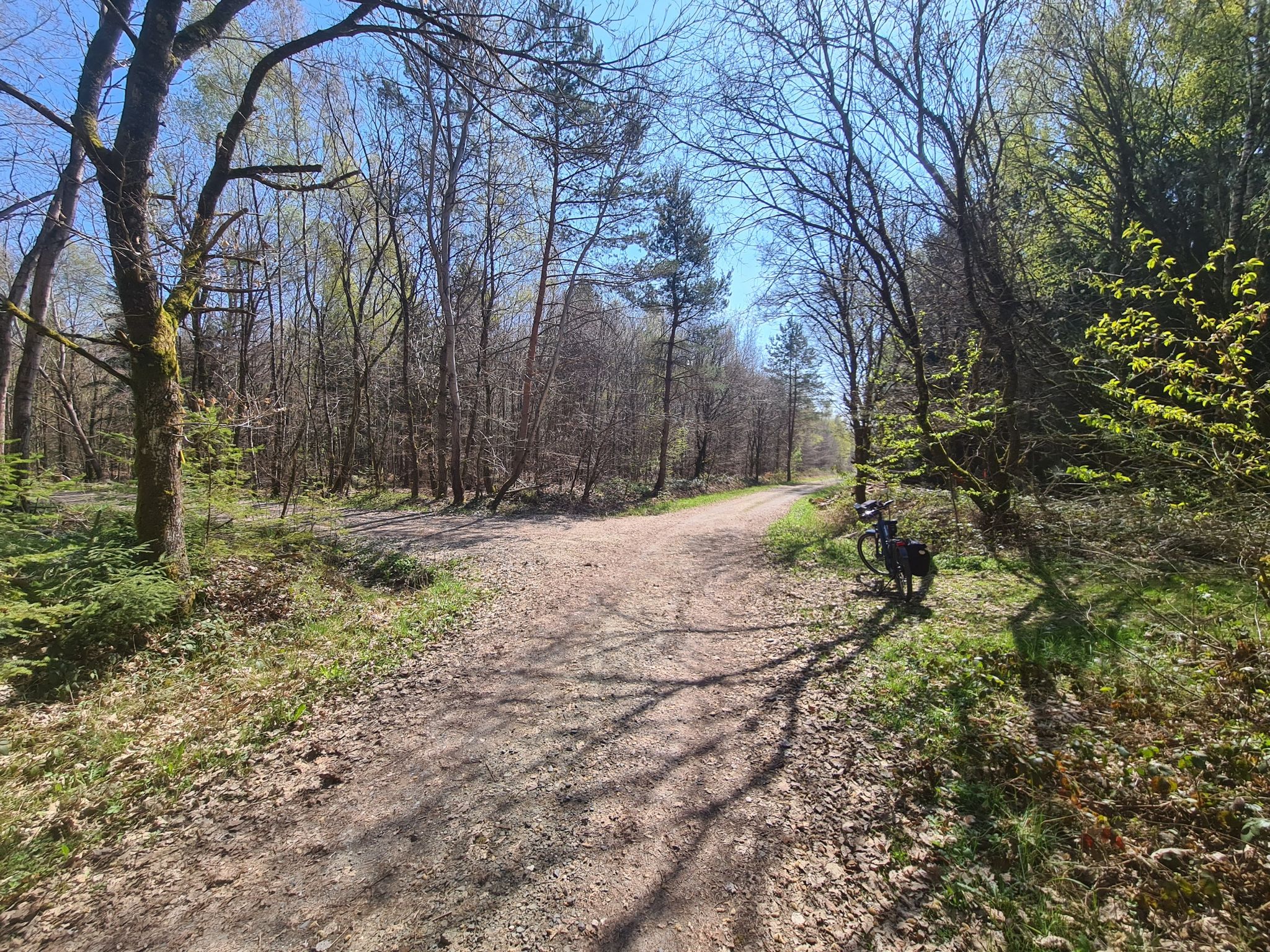 Kreuzung