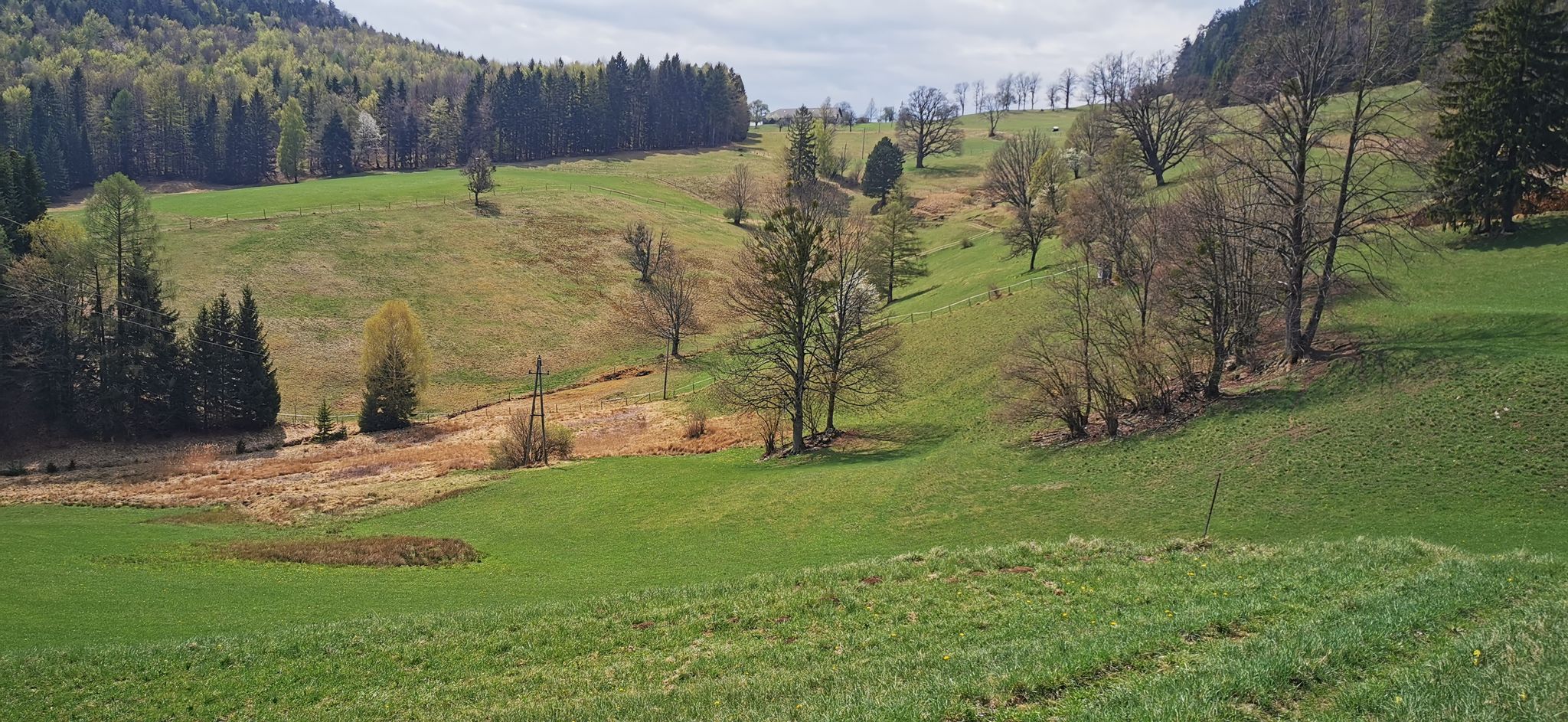 Blick zum Sattel auf dem gelegenen Schweighof