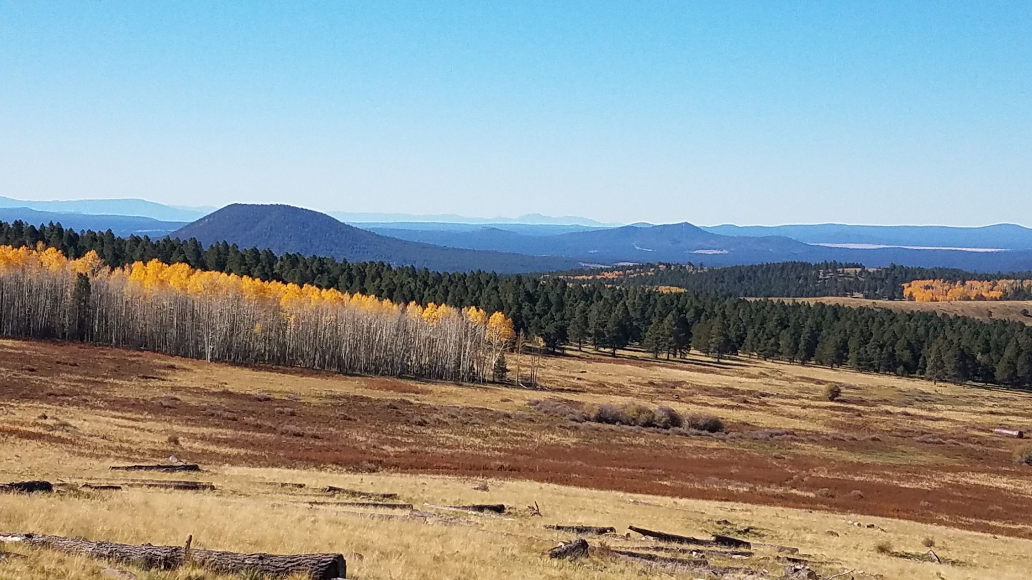Panoramic view of golden aspens, green pines, and distant mountains under clear sky. - Arizona Trail: San Francisco Peaks