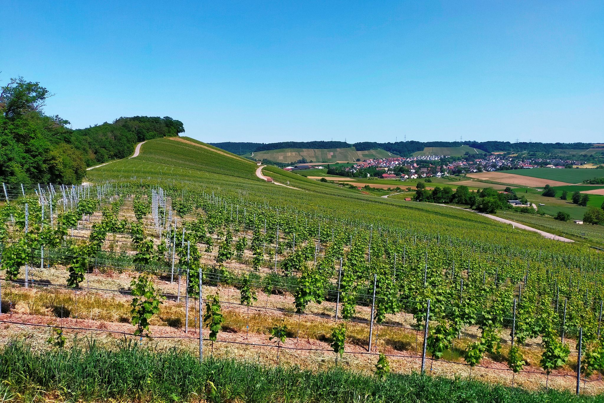 Blick zur Leinburg (li)