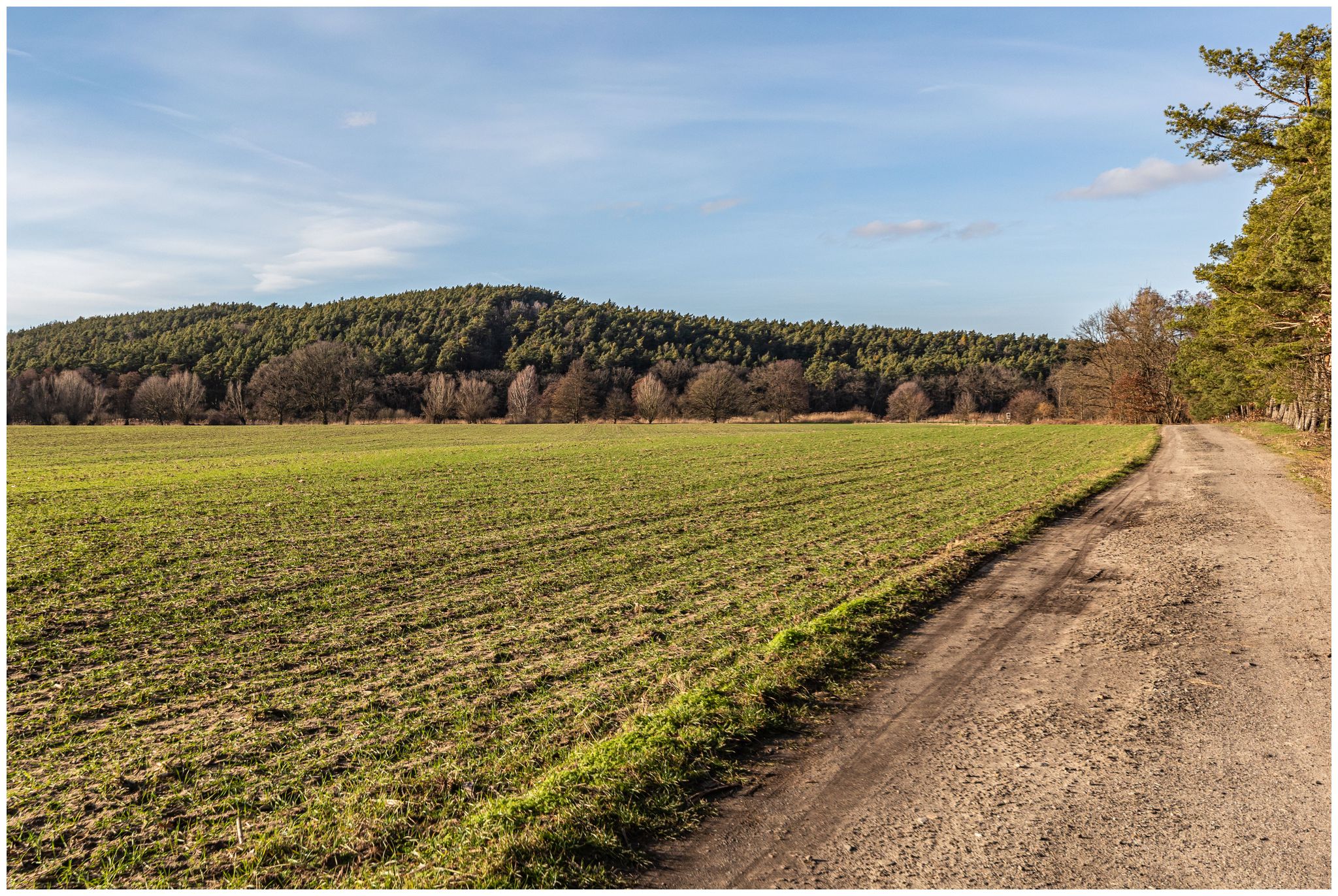 Vieritzer Berg, 86 m