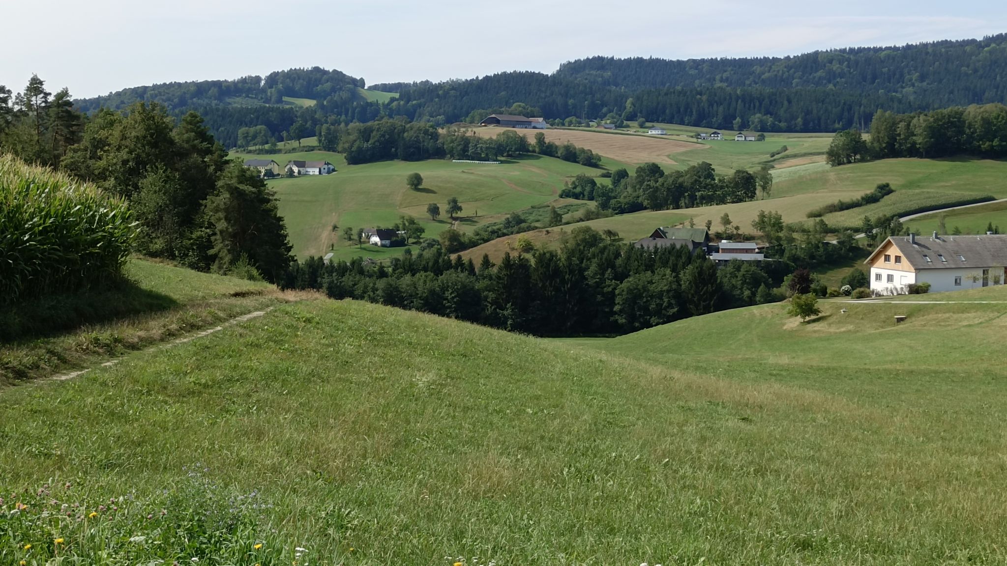 Durchschaufen ist angesagt - - Ein Blick zurück in die Gegend von POPPEN & OHNERSDORF