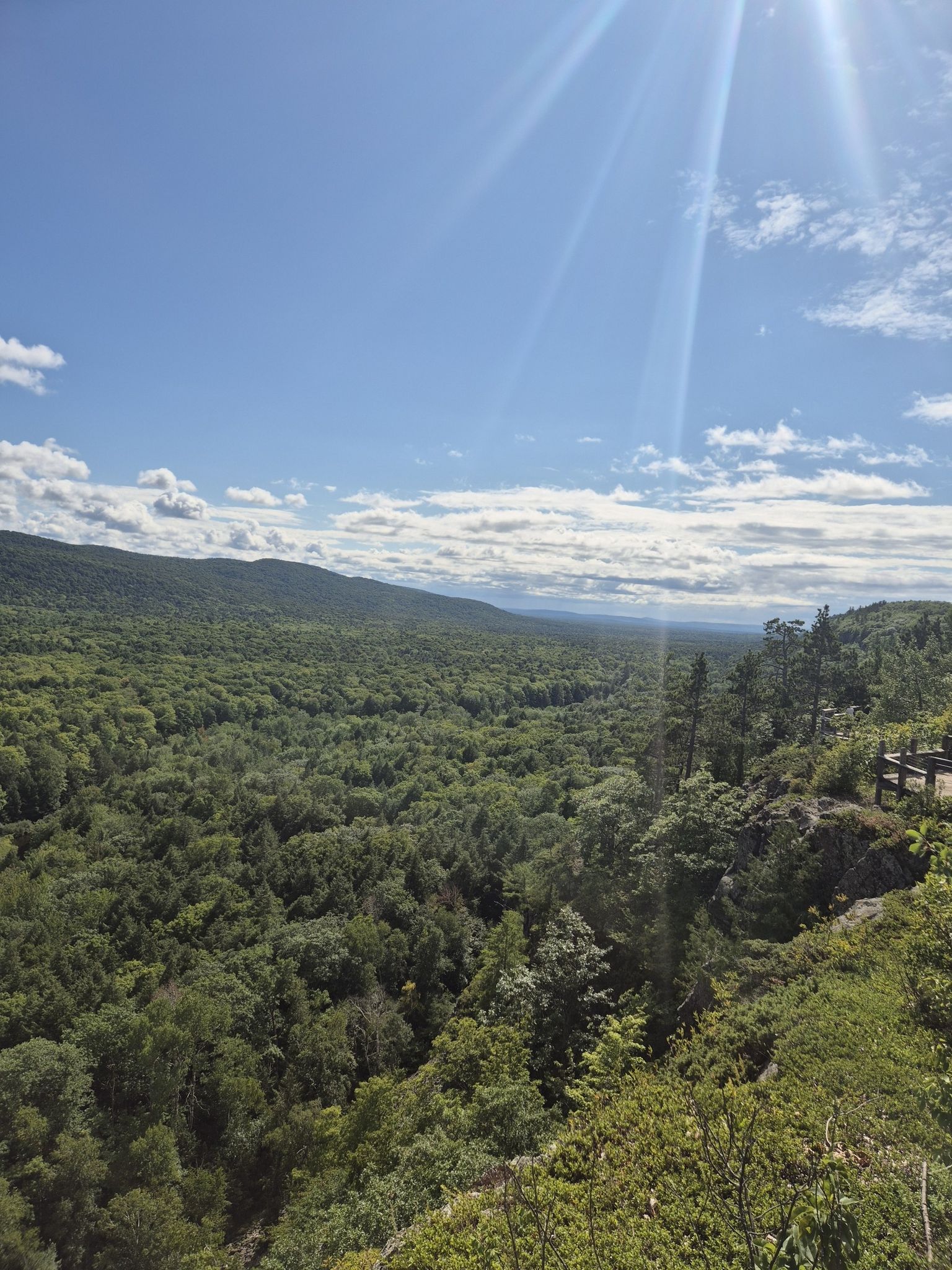Vast green forest valley under a bright, sunny sky with sun rays. - Big Carp and Little Carp Loop