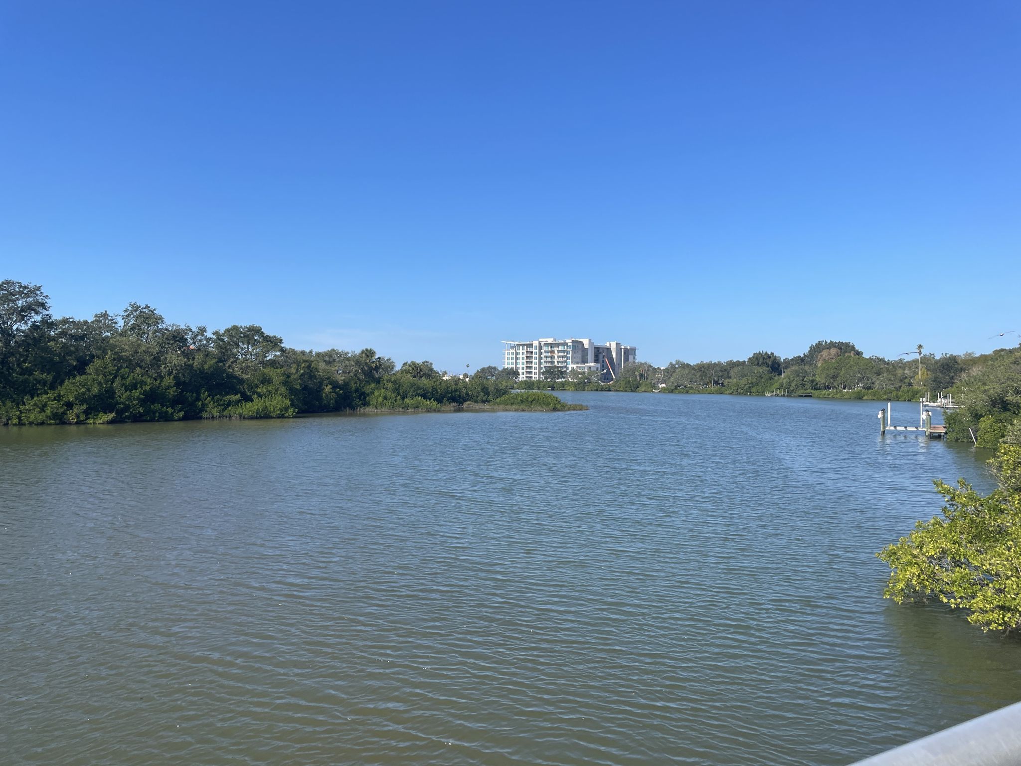 A wide, calm river with green banks and distant buildings under a clear sky. - Dunedin – Weaver Park Trail loop from Greenbriar