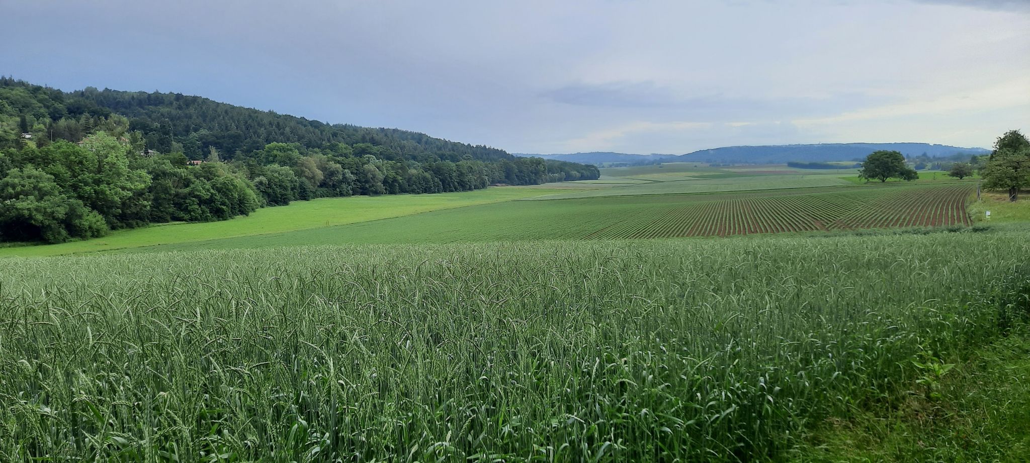 weites Land - Kraichgau
