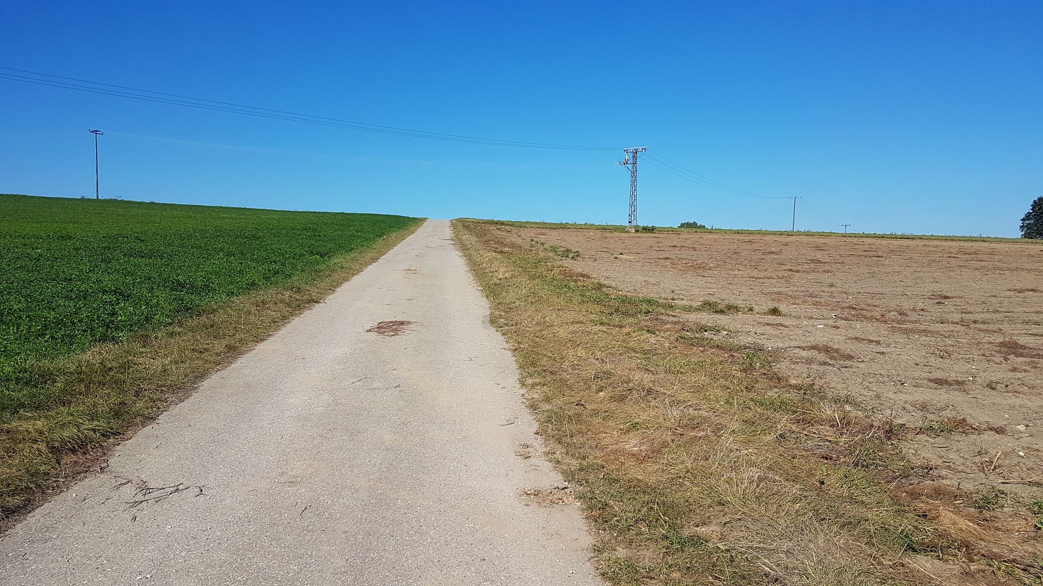 asphaltierter Wirtschaftsweg 