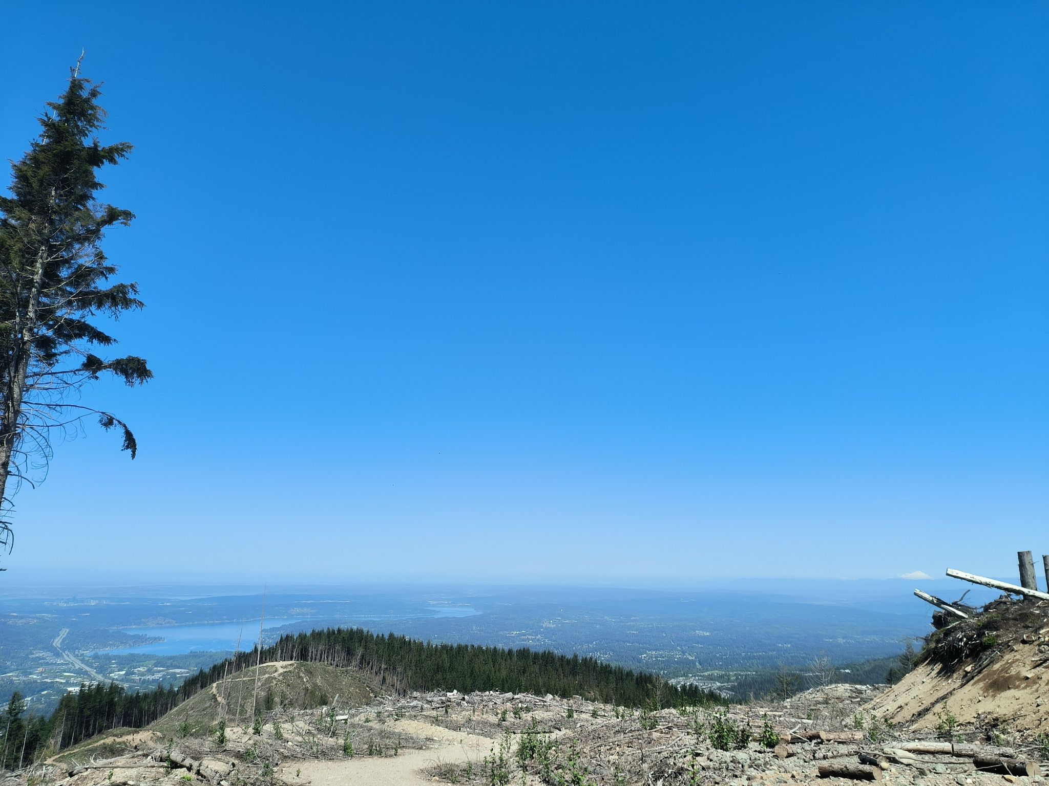 Expansive view of a distant landscape from a clear-cut hillside under a bright blue sky. - Seven Summits of the Issaquah Alps loop