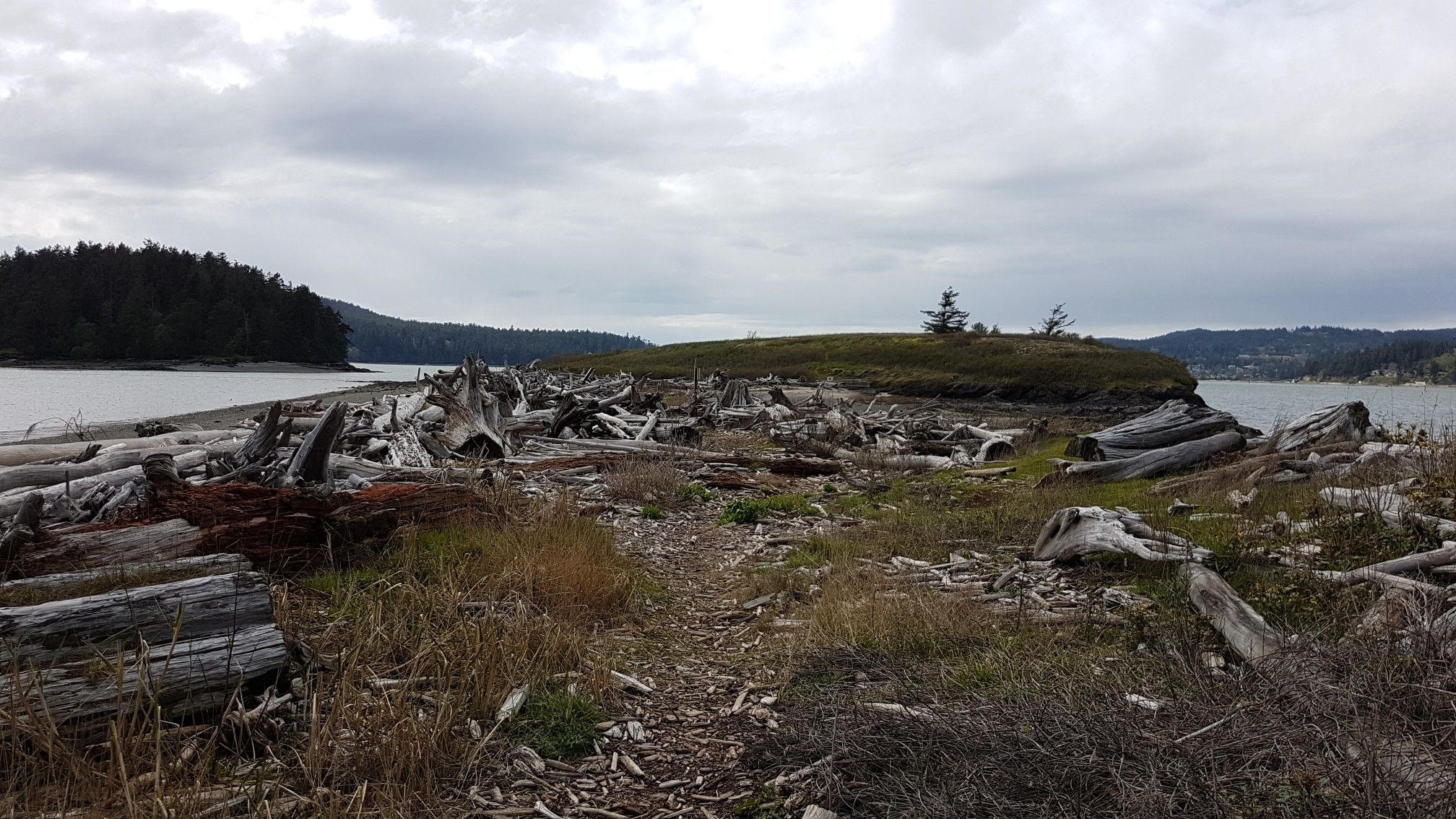 Overcast view of a driftwood-strewn land bridge with water on both sides. - Kiket Trail loop