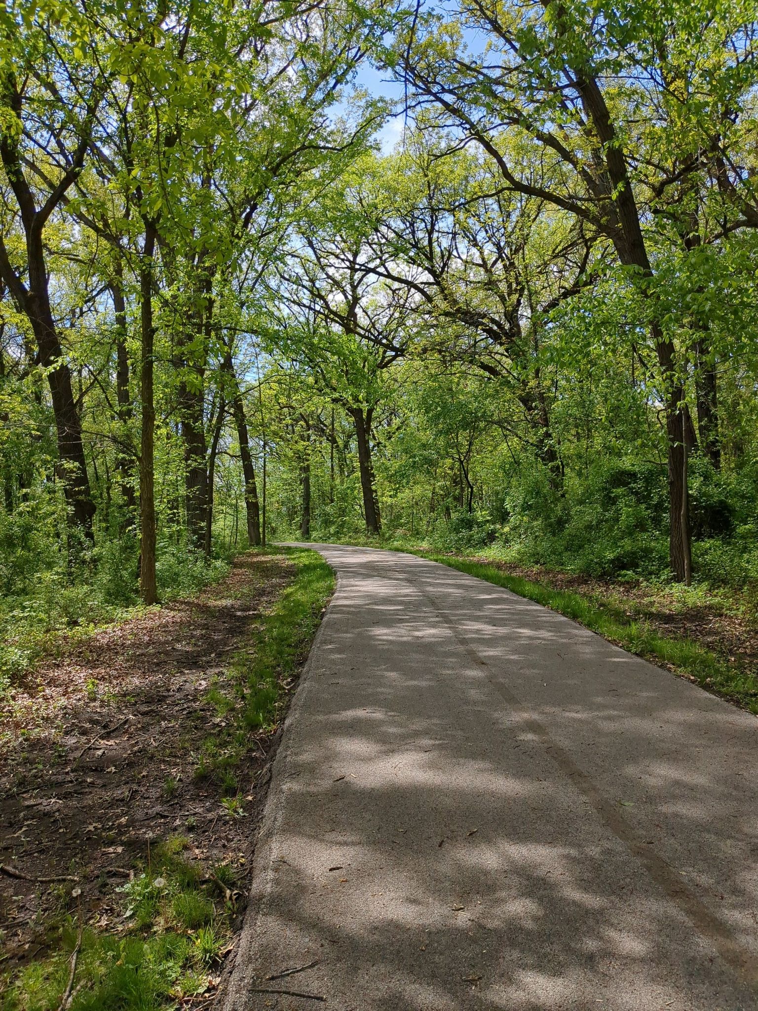 Paved path winding through a vibrant green forest with dappled sunlight. - Turtlehead Lake – Water Tower at Crescent Park loop from Palos Heights