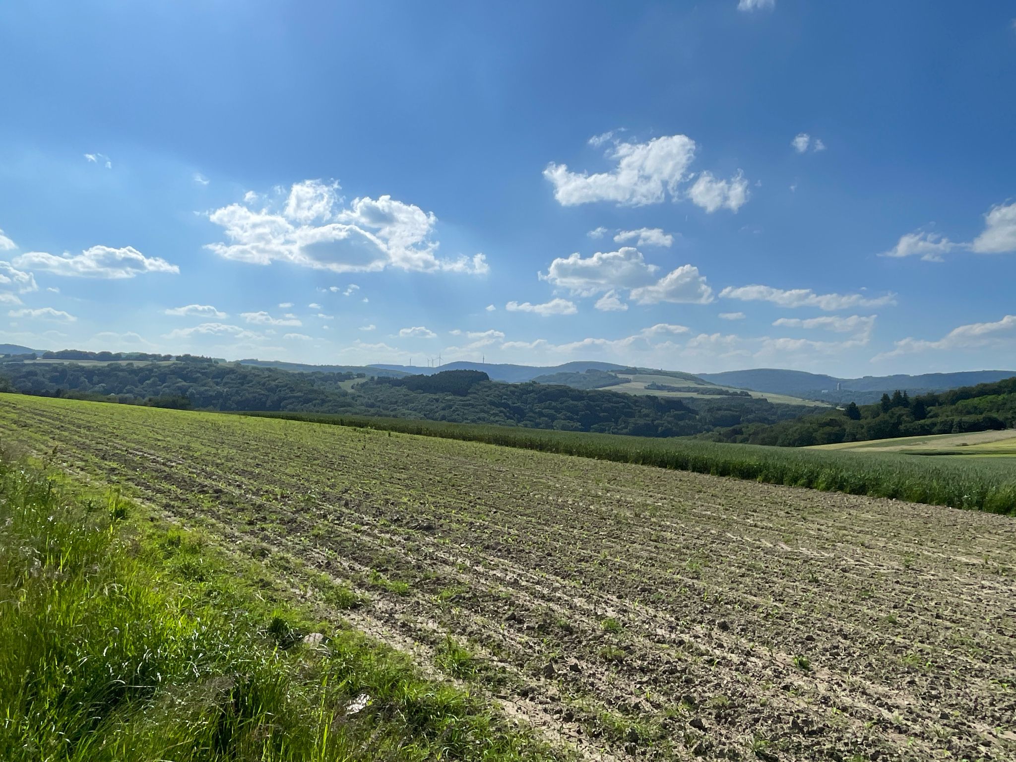 Aussicht zwischen Kusel und Bledesbach