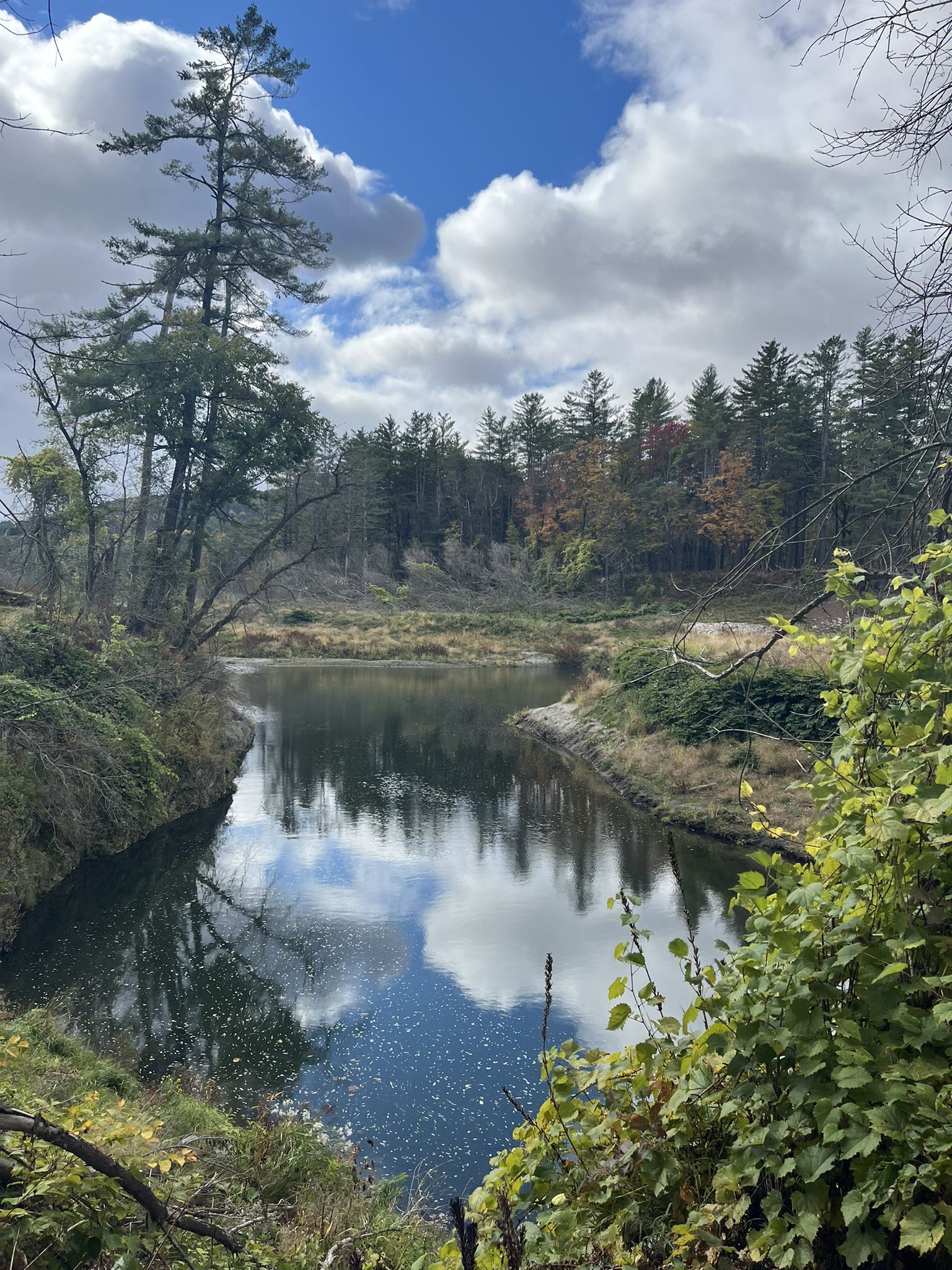 Calm river reflects cloudy sky, surrounded by green and autumn trees. - Quechee Gorge Trail