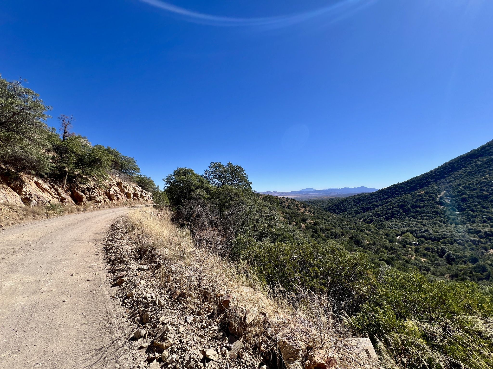 Dirt road winding through green hills under a clear blue sky. - Red Hill Loop