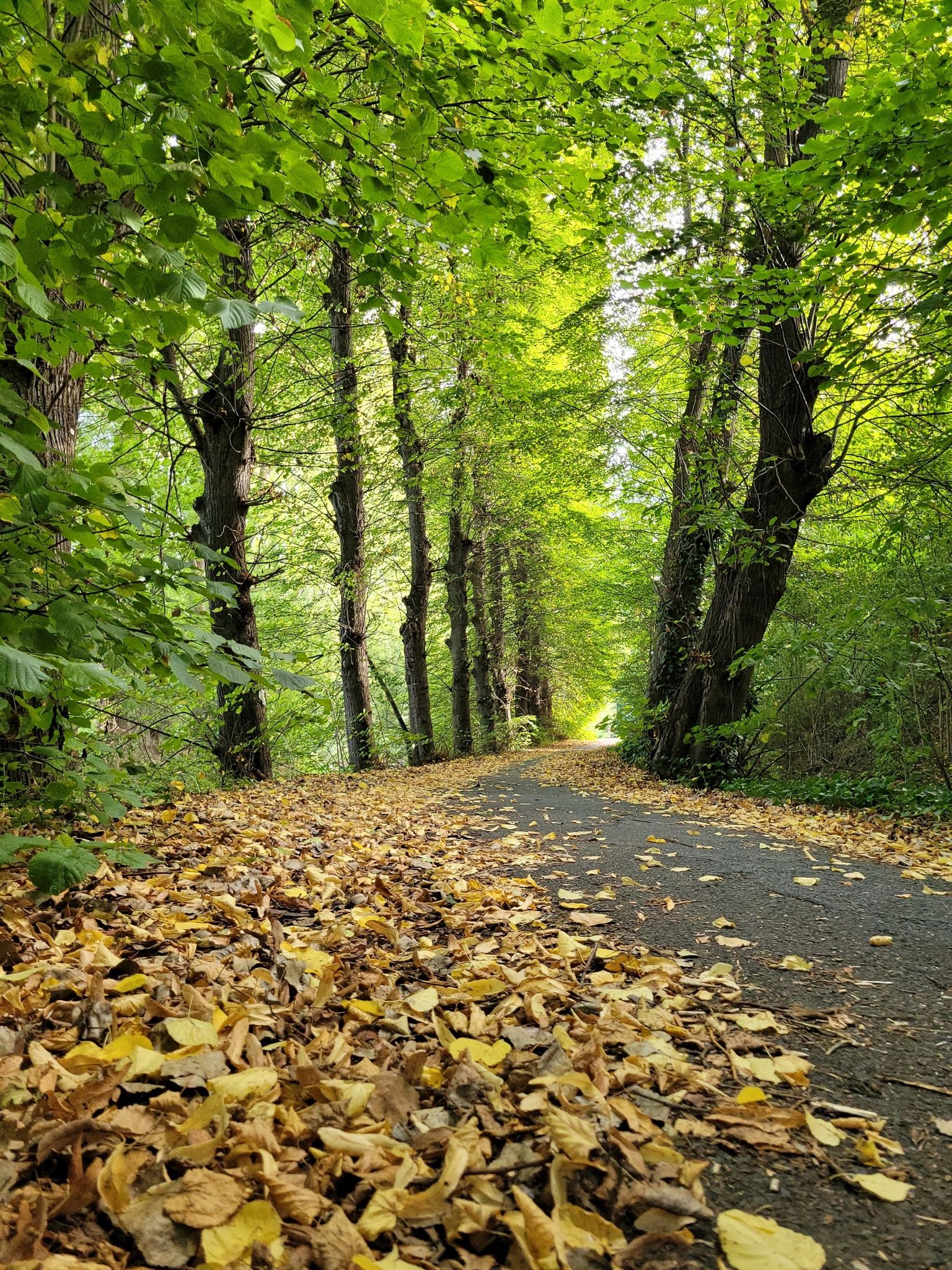 Der Herbst ist da