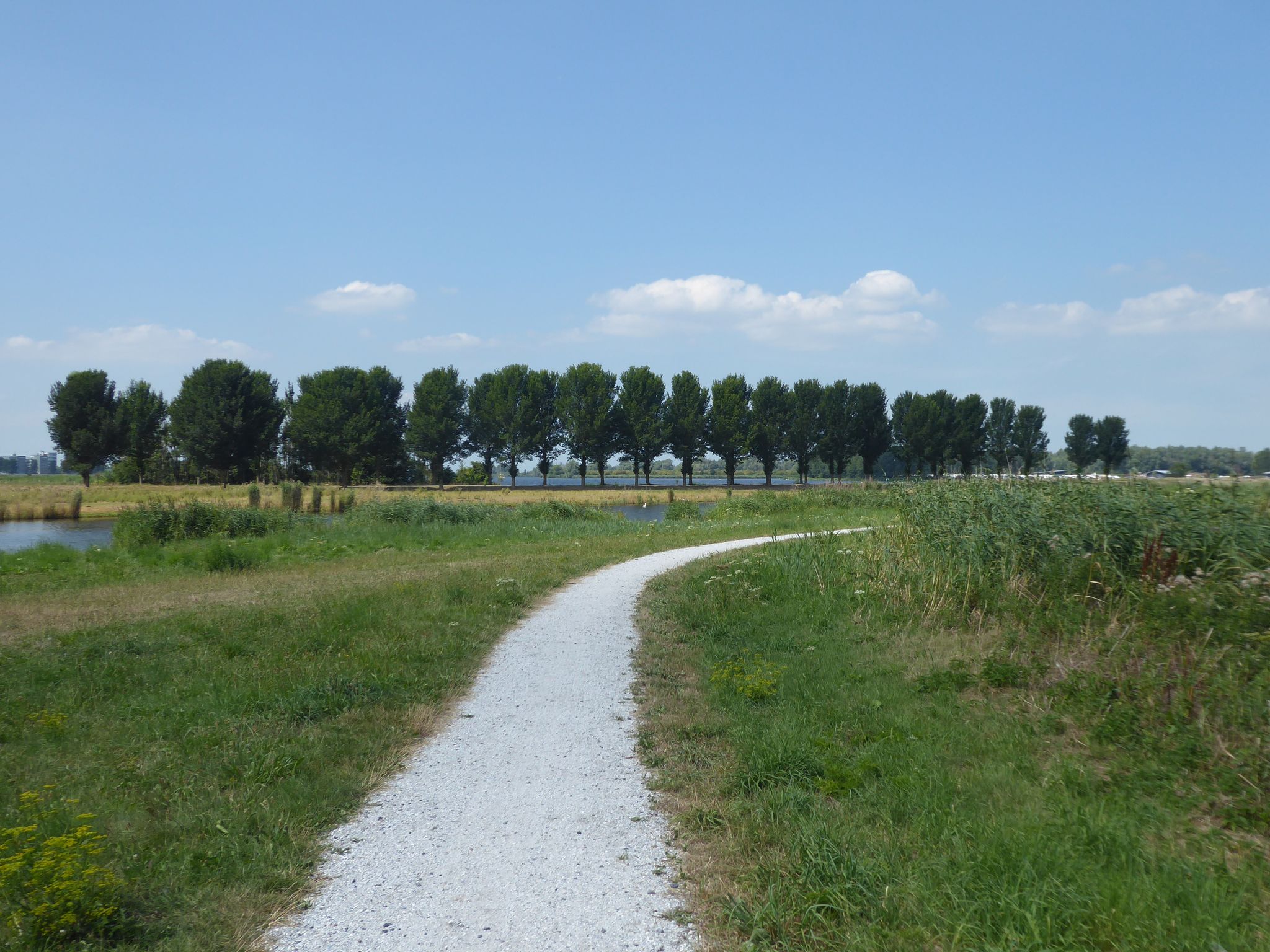 Vaartsluisbos