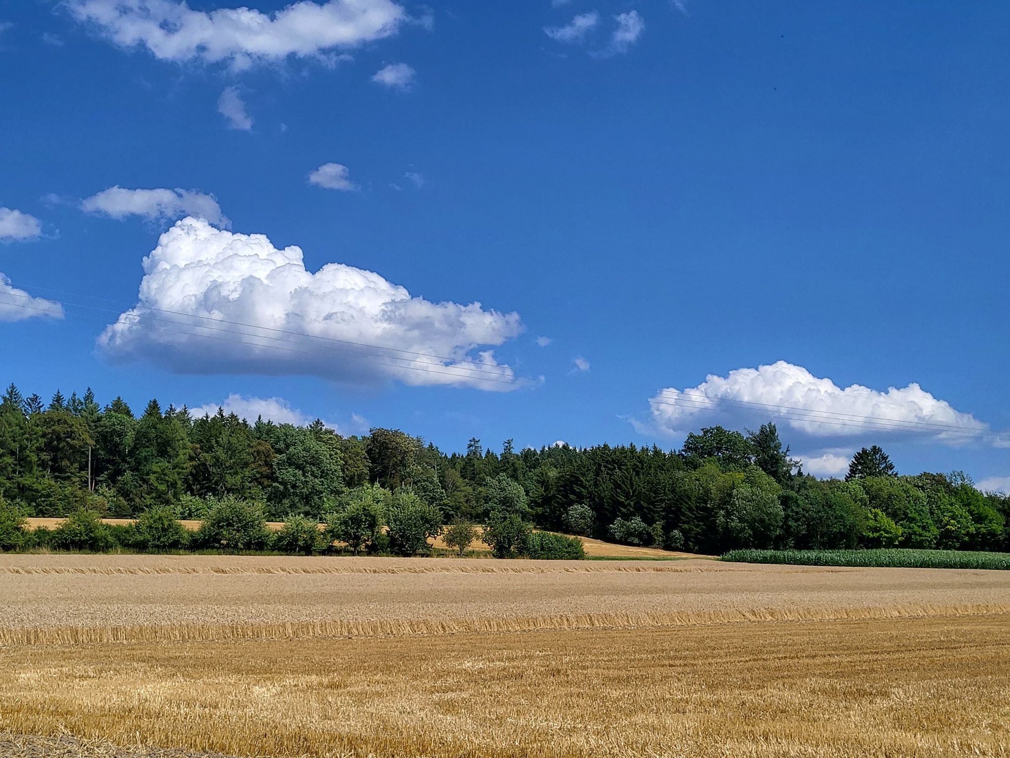 Felder, Wald u.ein Wolkenhimmel, was gibt es schöneres