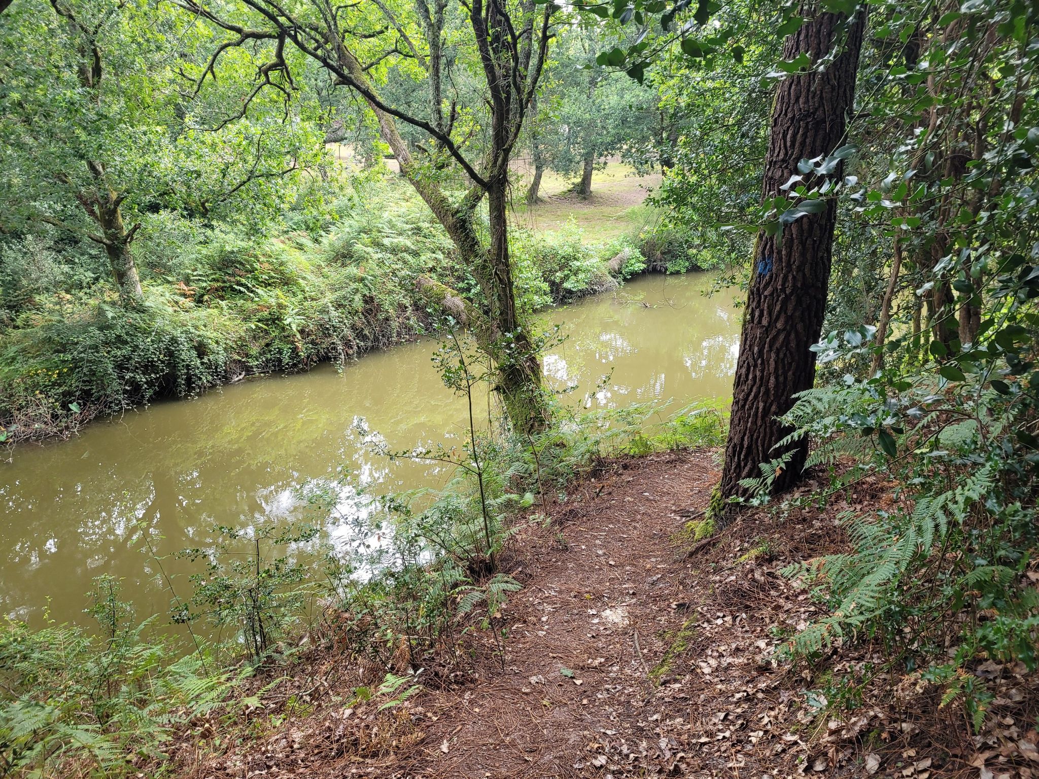 wanderweg2