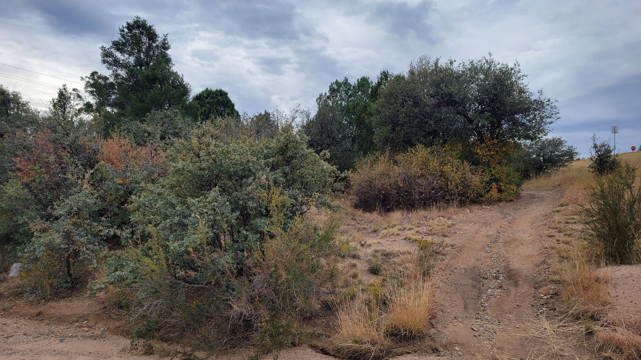 Dirt path winding through dense green and brown shrubs under a cloudy sky. - Prescott Circle Trail - Willow Lake Loop