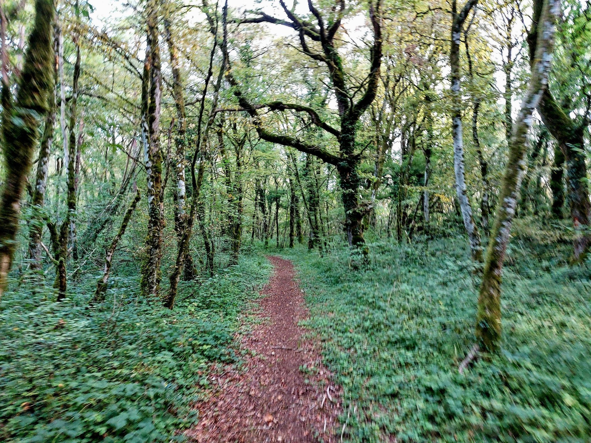 Jetzt auf schönen Trails
