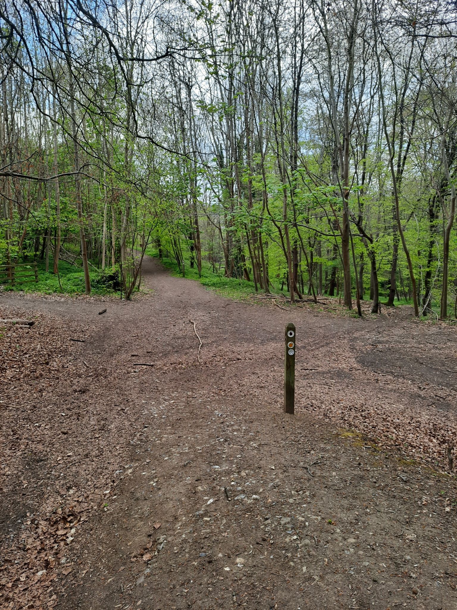 At this 5 way cross road, take path left to the sign post