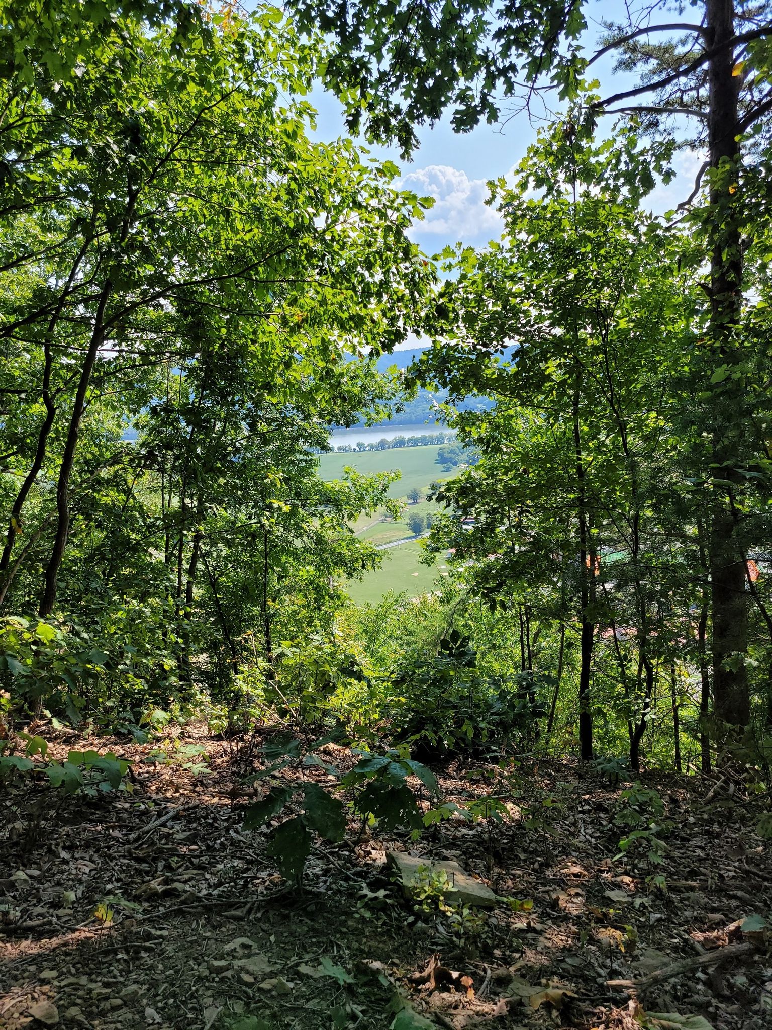 Dense forest frames a distant sunny valley with a winding river. - Raven Rock Trail