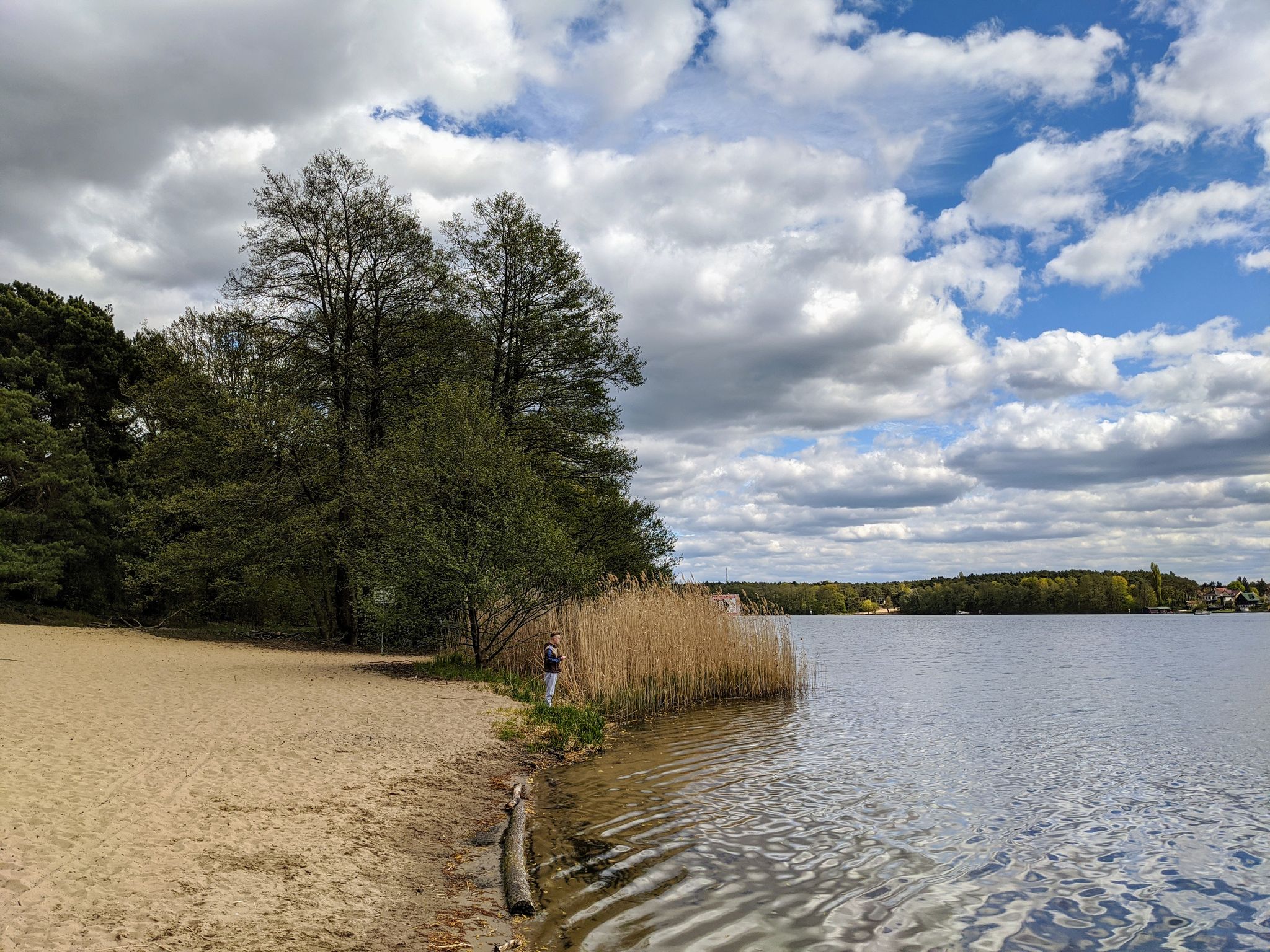 Badestrand am Nordufer des Werlsees