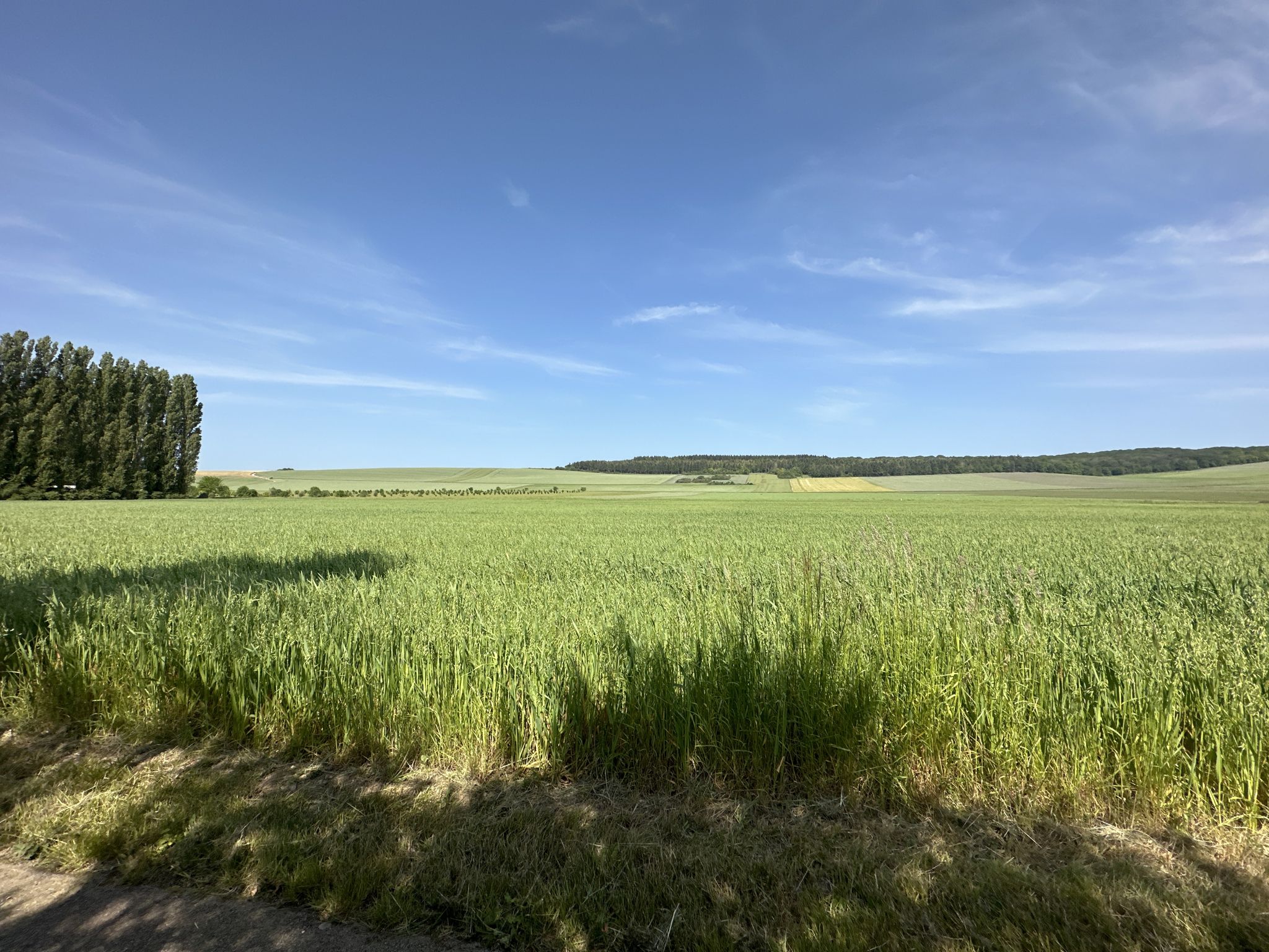 Landschaft .....Normandie