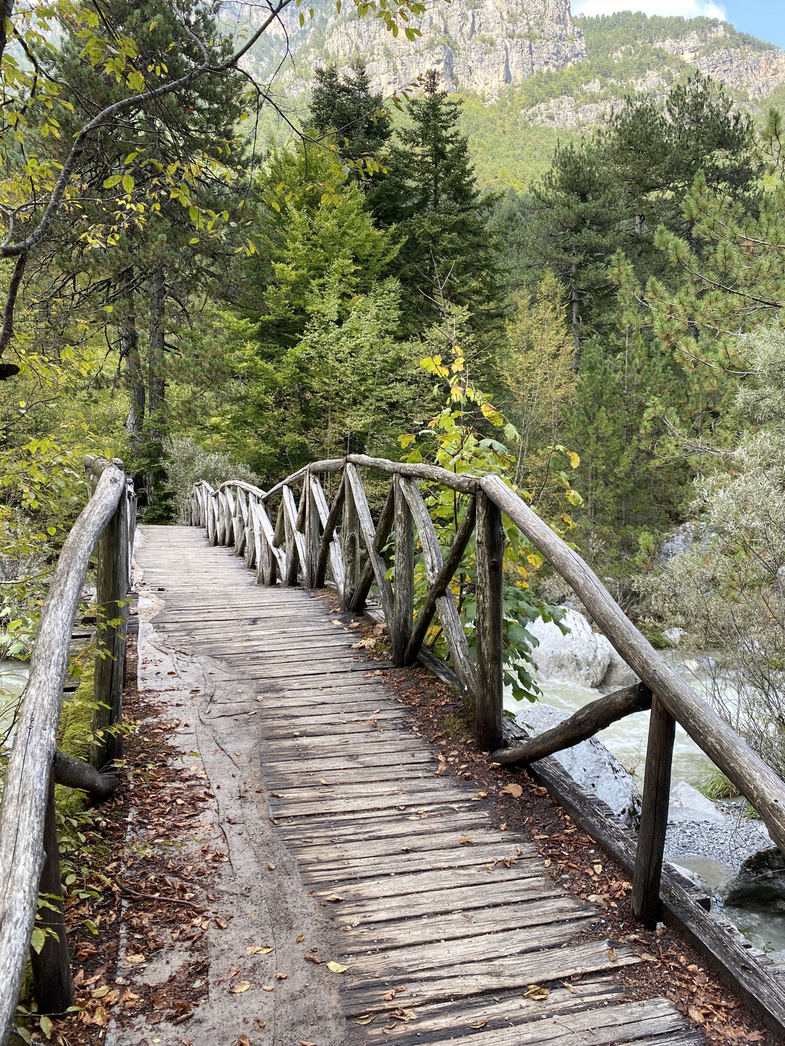 Trail Bridge