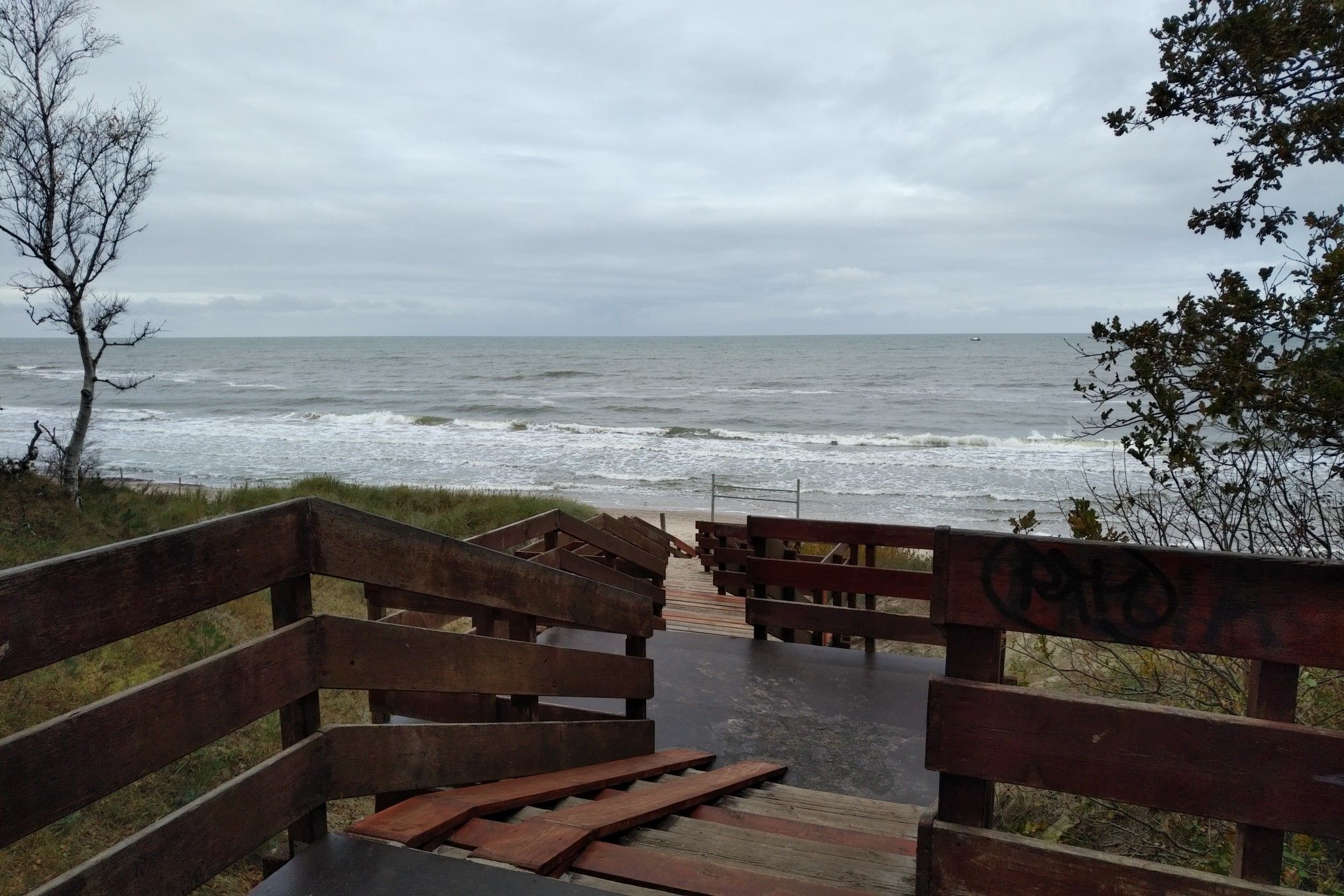 der Hundestrand