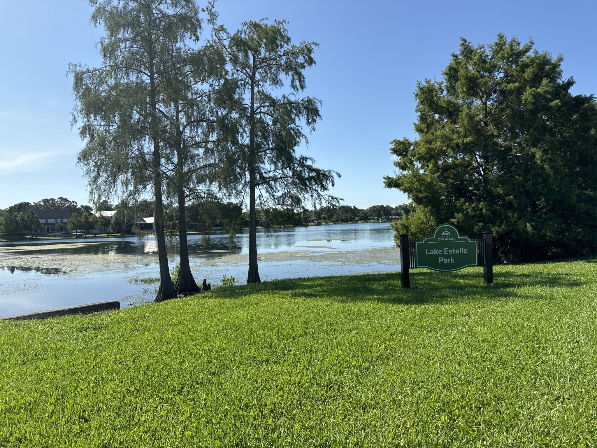 A sunny view of a calm lake with green grass and trees. - Orlando Urban Trail