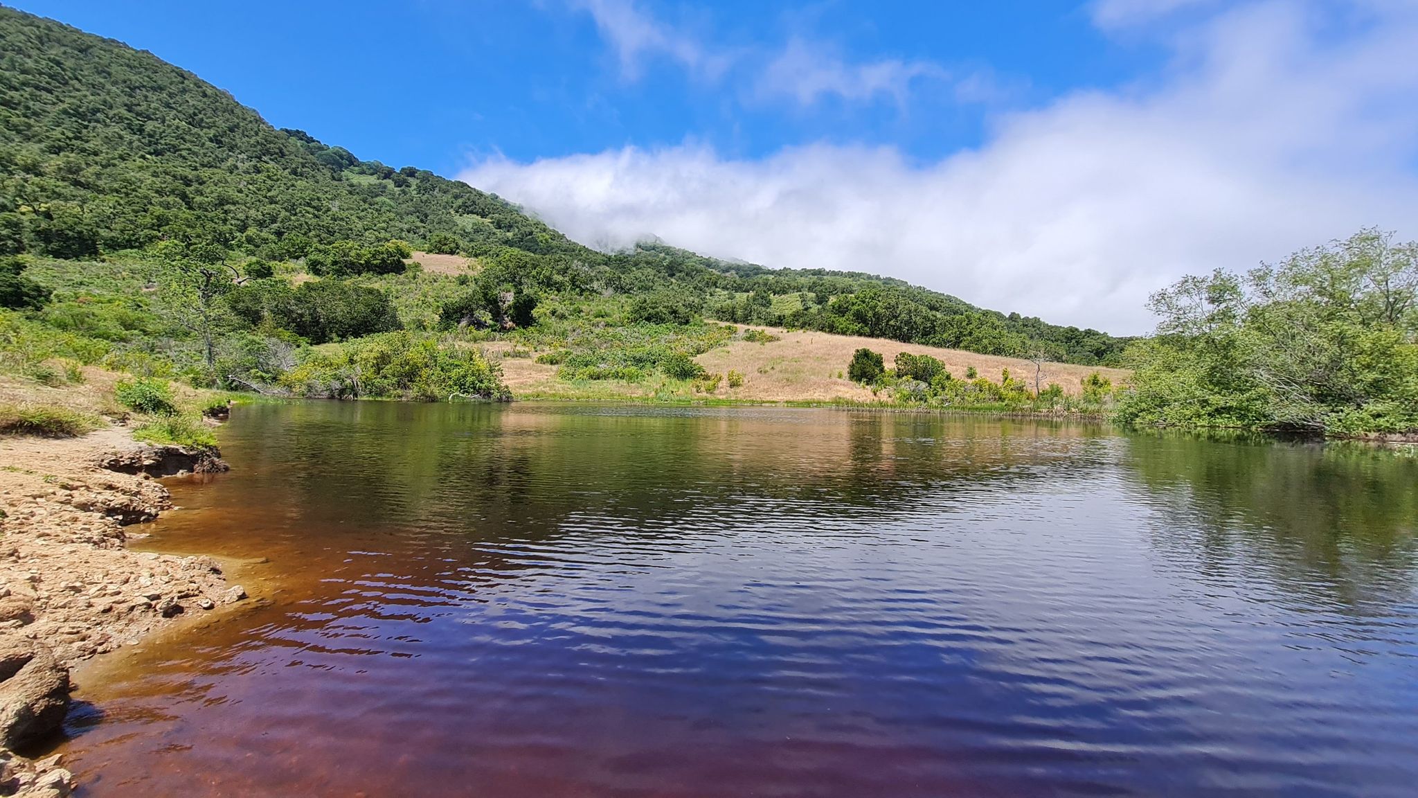 A calm lake reflecting green hills under a bright blue sky. - Cottonwood, Maple Canyon, and Lupine Loop