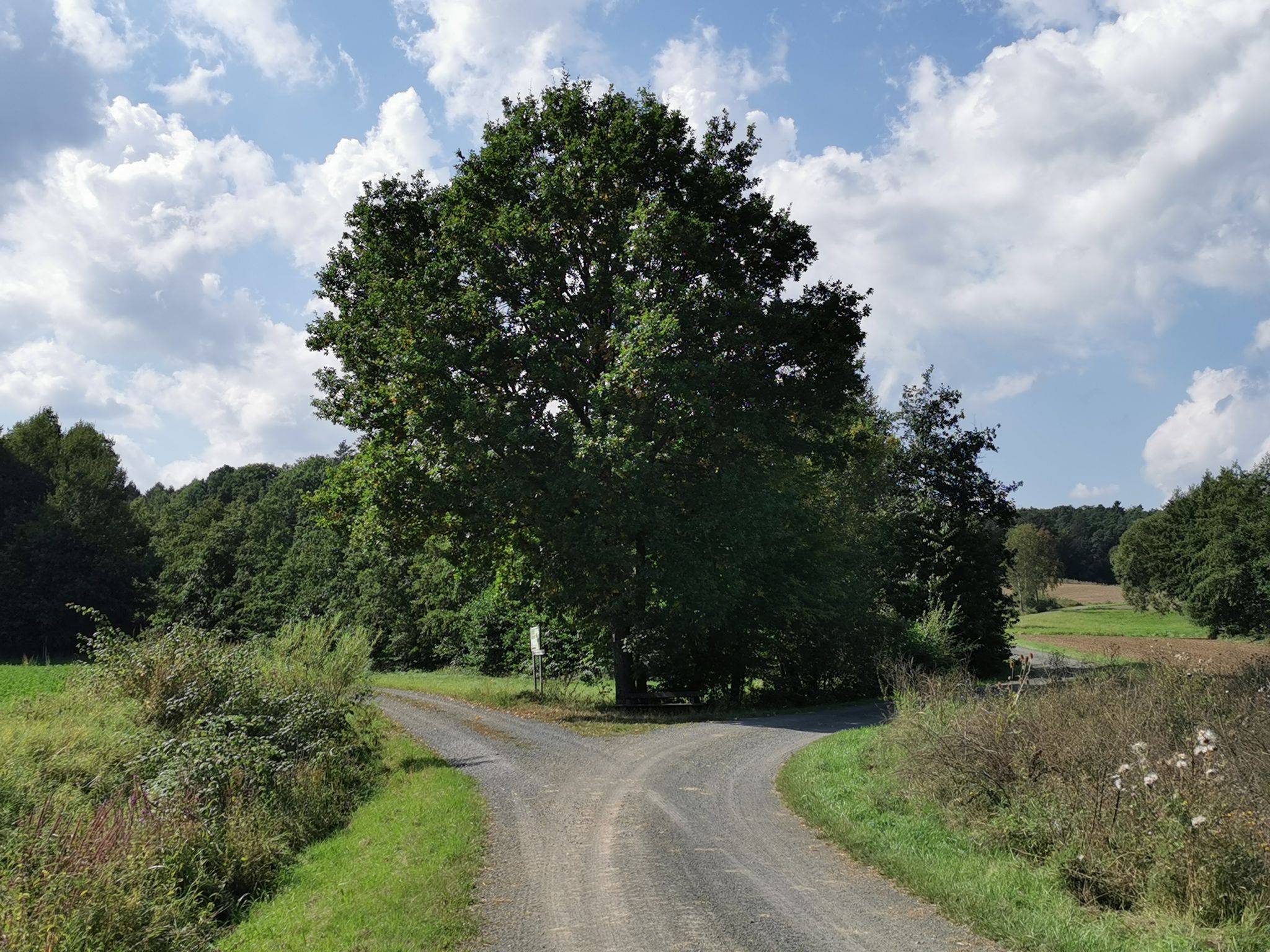 Hier ging es rechts weiter