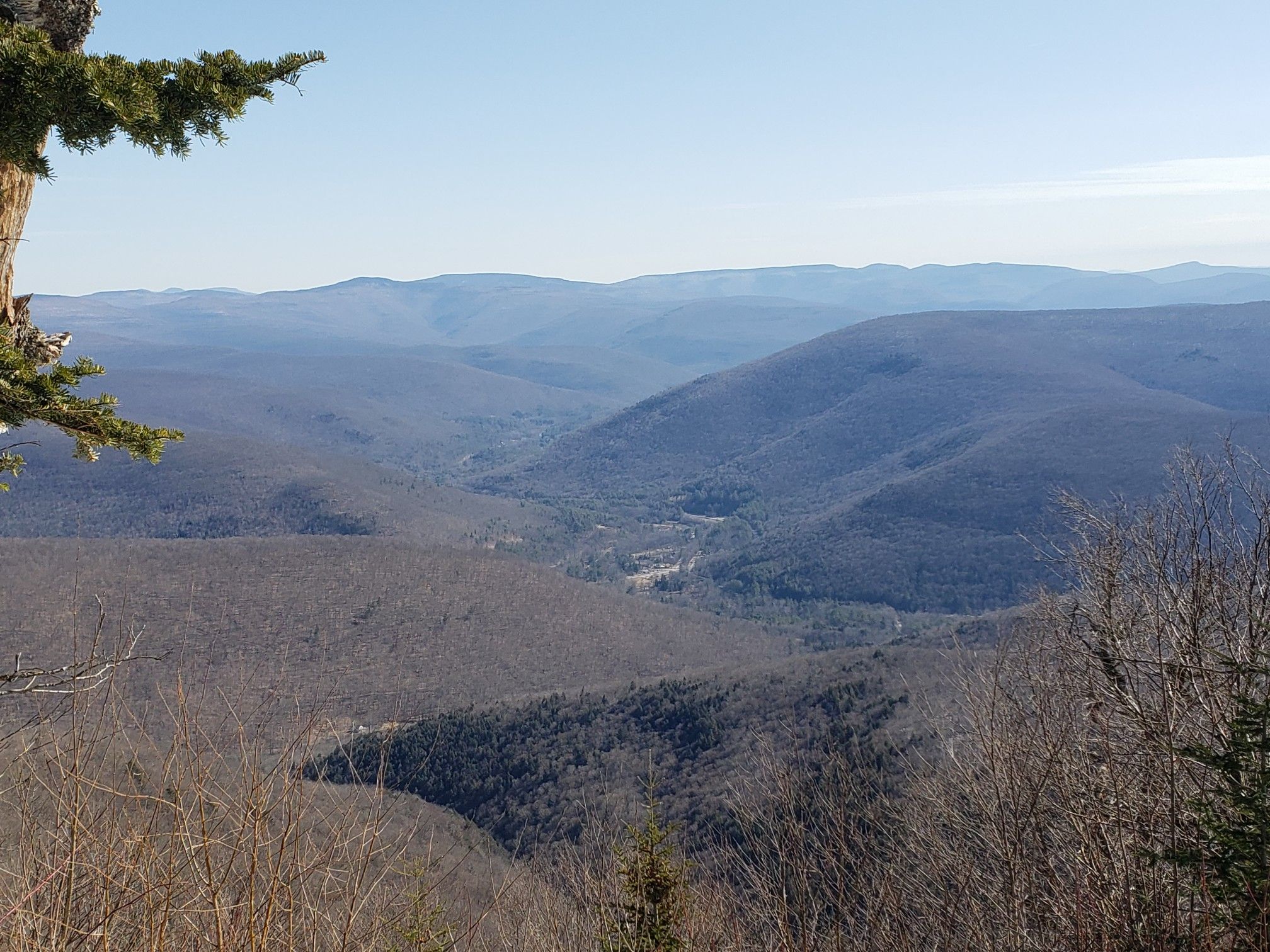 Expansive mountain vista with rolling hills and valleys under a clear sky. - Balsam Mountain Overlook via Oliverea Mapledale Trail loop