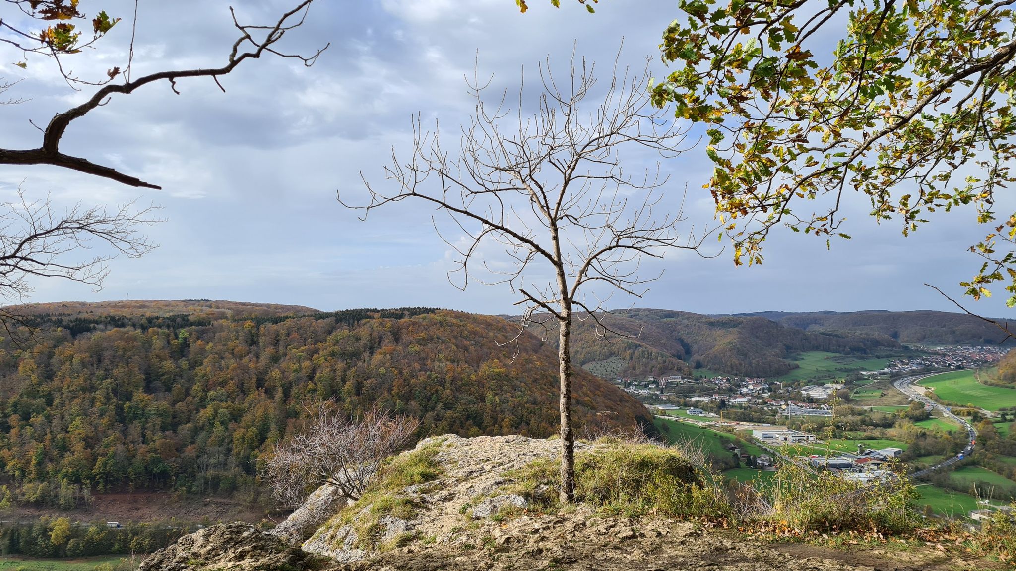 Tierstein