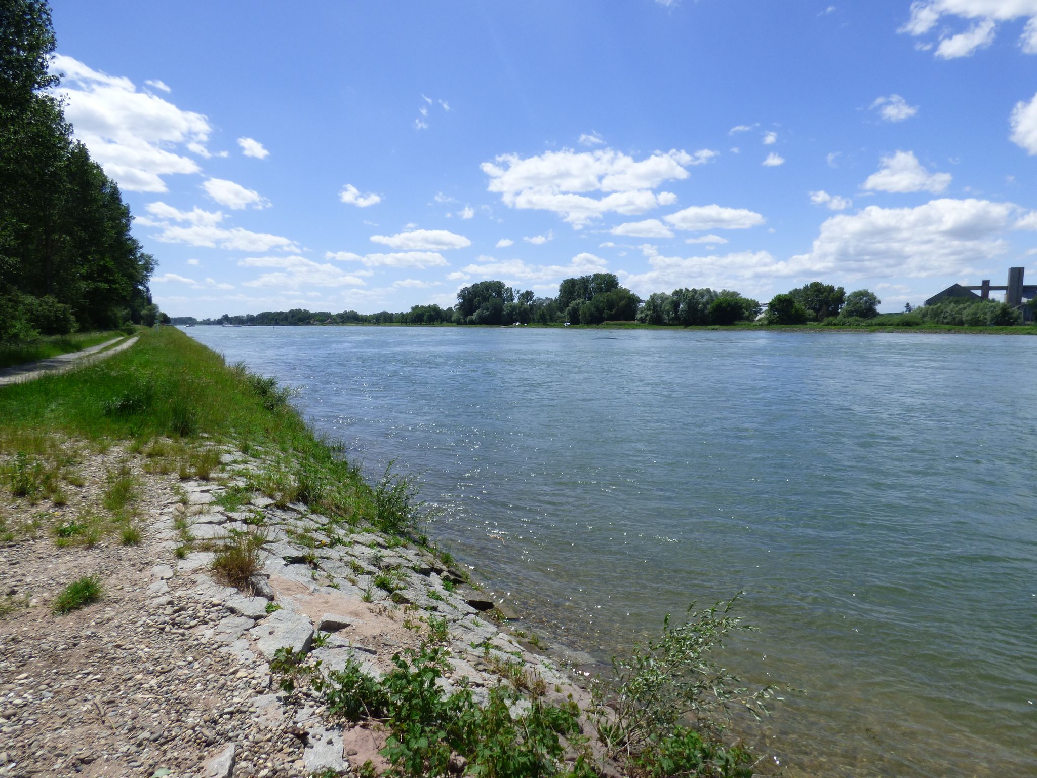 Der Rhein!
