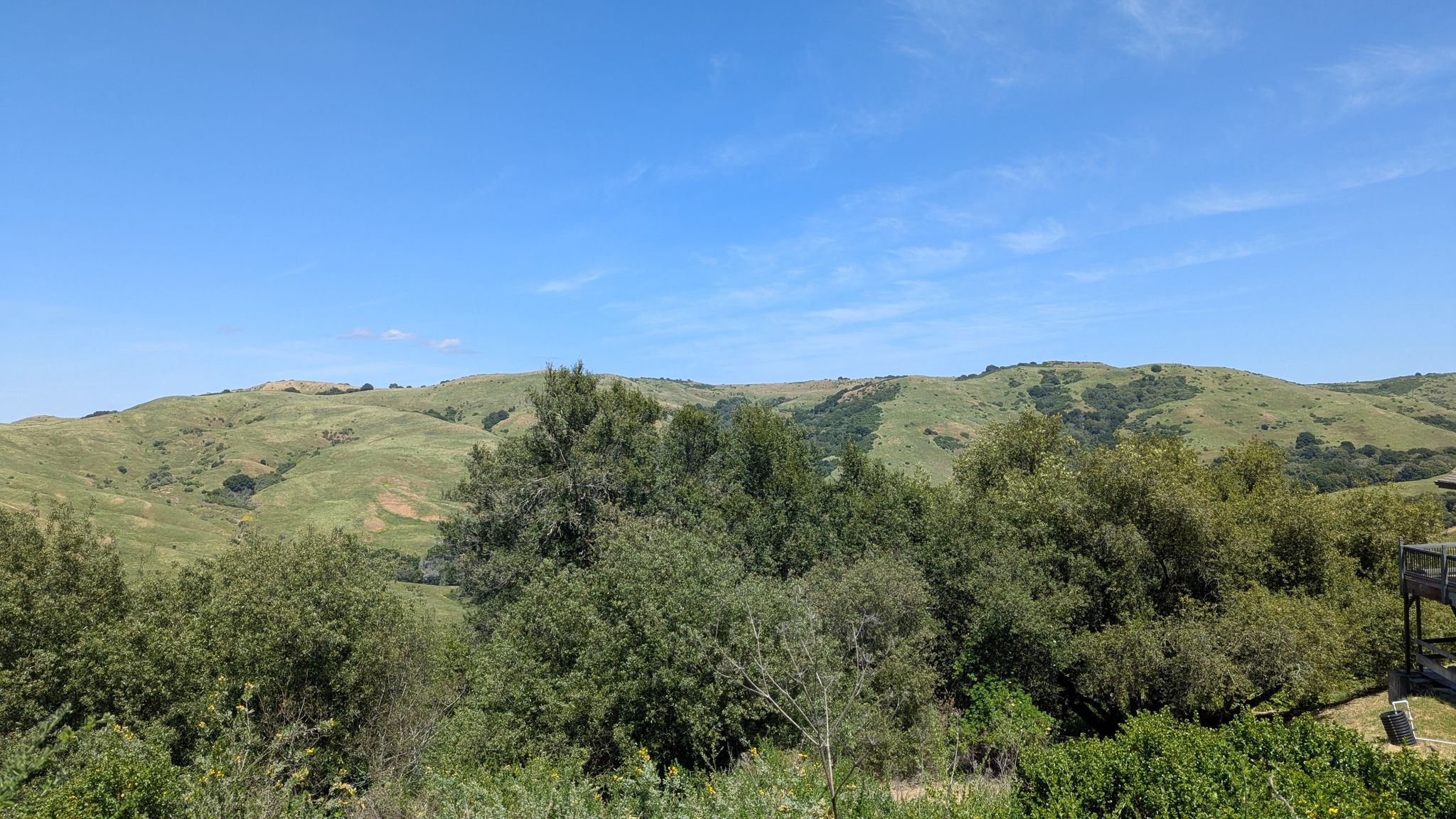 Panoramic view of rolling green hills and distant trees under a clear blue sky. - Mezue and Havey Canyon Trail Loop