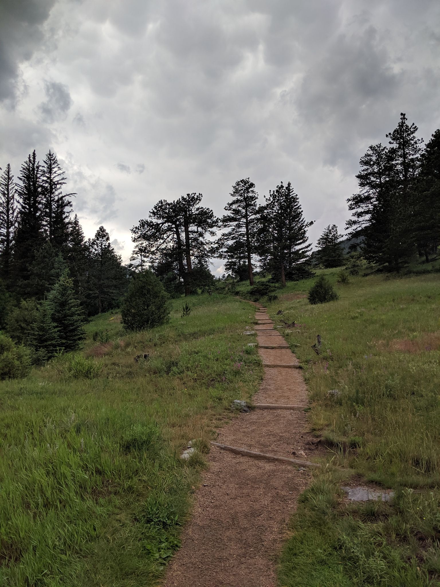 A dirt path with wooden steps ascends a grassy hill under a cloudy sky. - Gem Lake and Balanced Rock Trail
