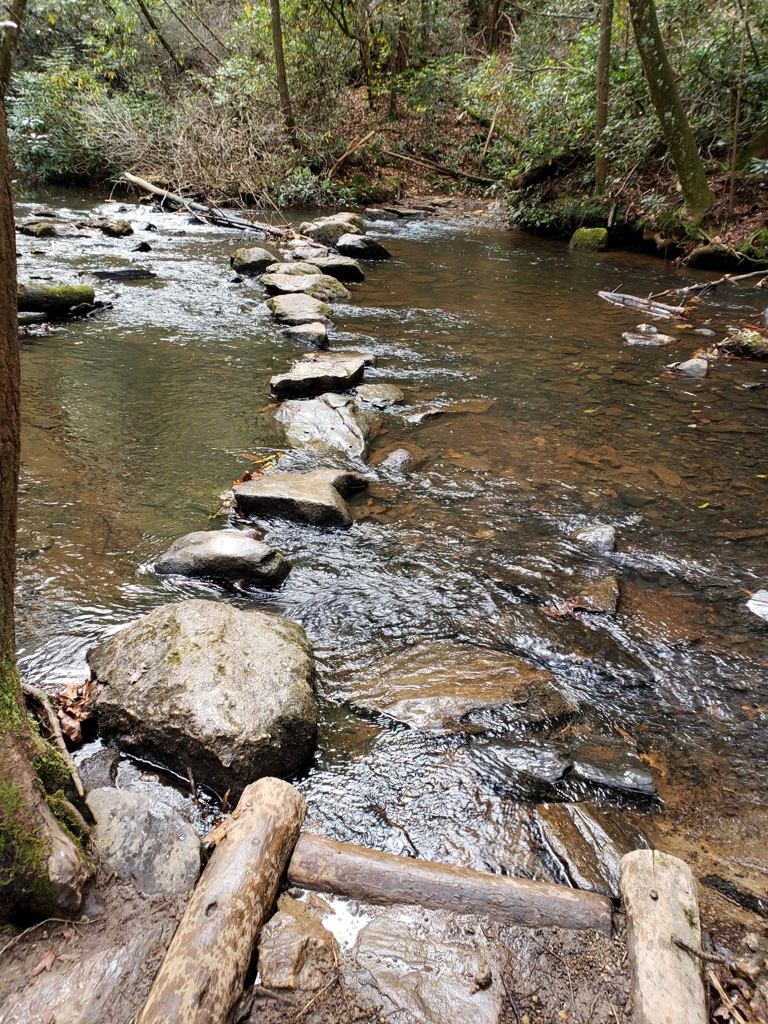 Stepping stones crossing a shallow, rocky stream in a dappled forest. - Reasonover Creek and Mine Mountain Loop
