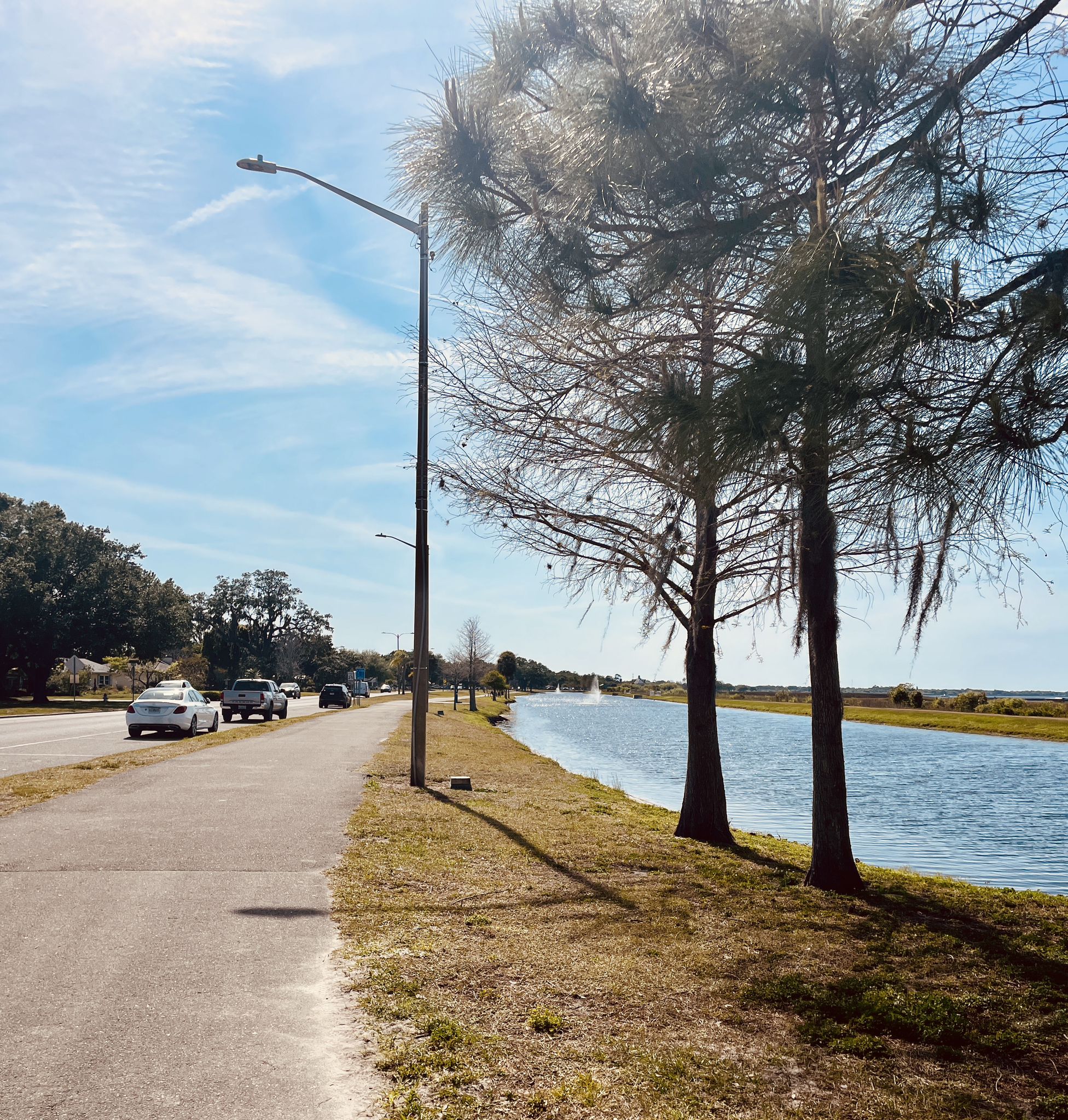 Sunny day with a road, canal, and tall trees under a blue sky. - Kissimmee St. Cloud Trail