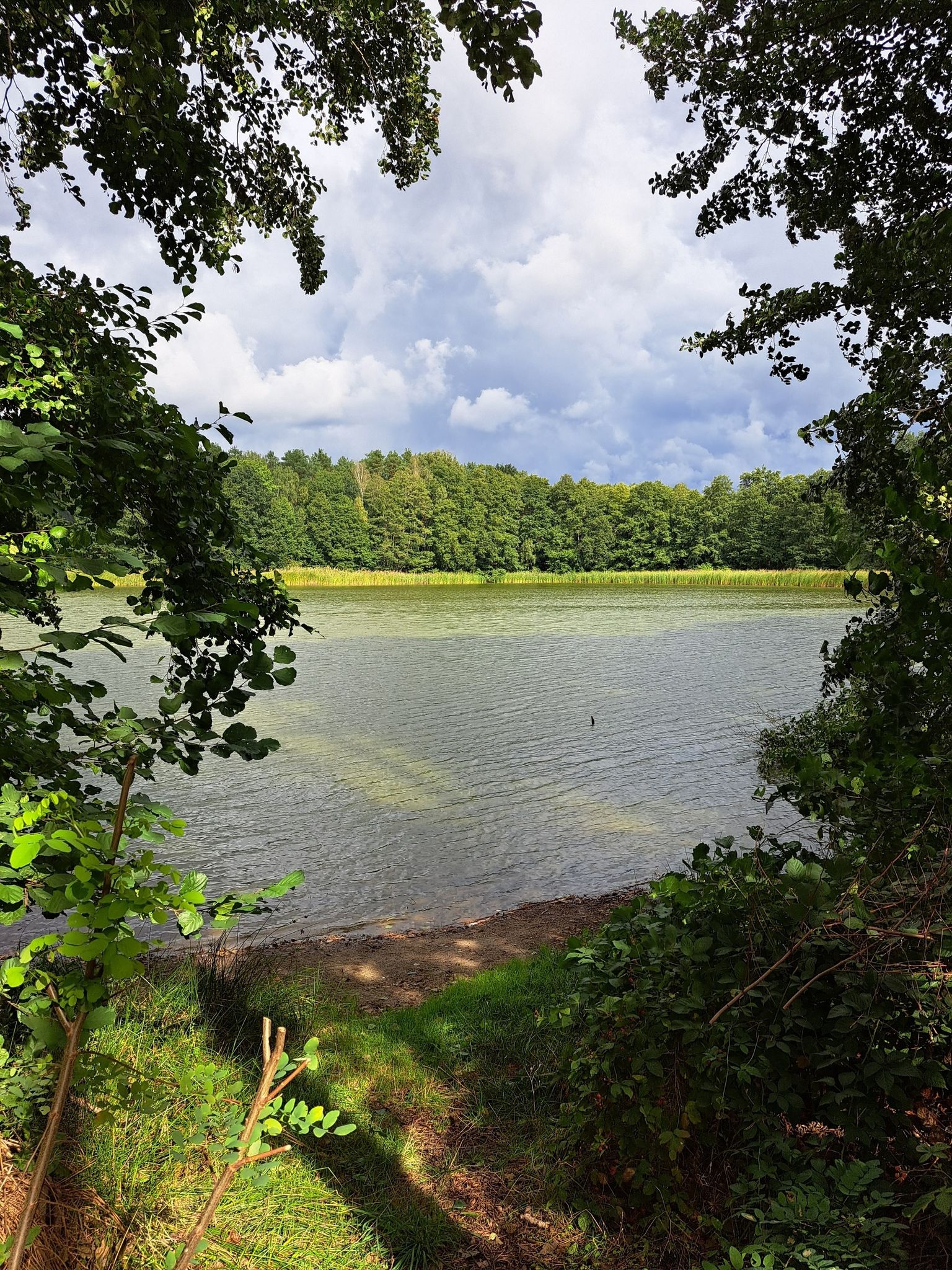 Tütschensee