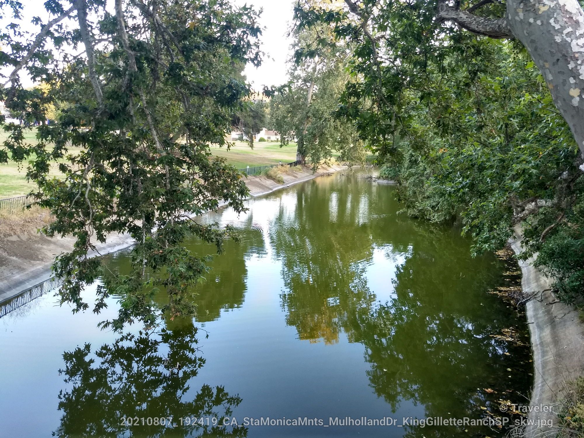 Green water in a canal, reflecting lush trees on a bright day. - Wild Walnut Park – King Gillette Ranch loop from King Gillette Ranch