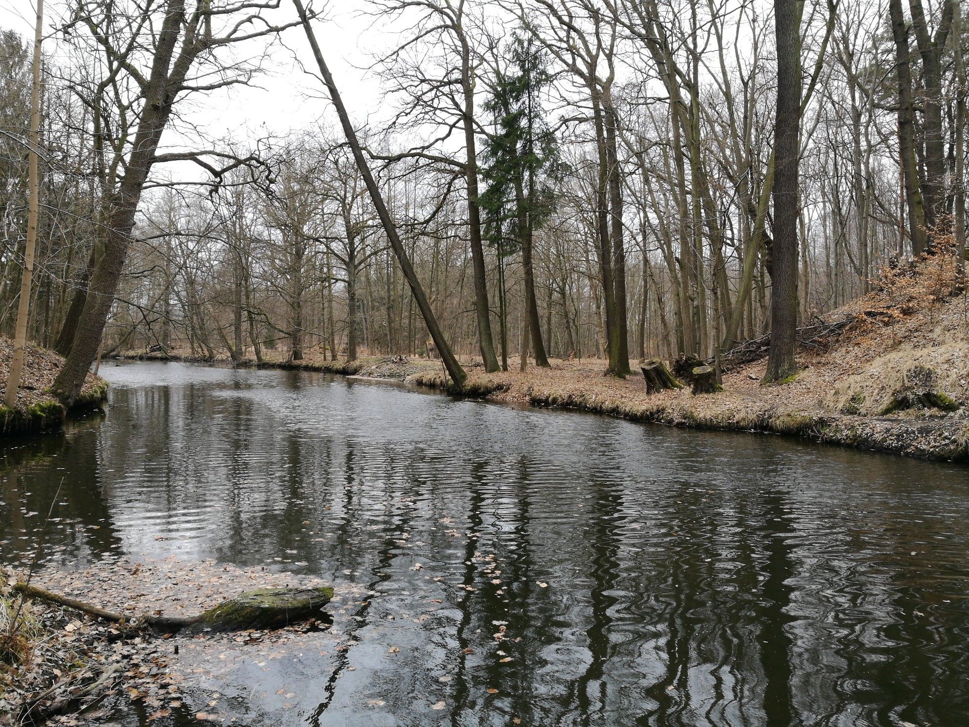 Große Röder