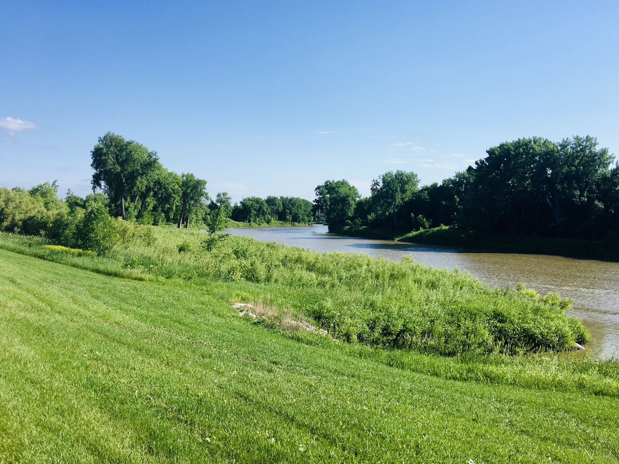 A wide river flows past green grassy banks under a clear blue sky. - Riverside Park Warming House loop from Red River State Recreation Area